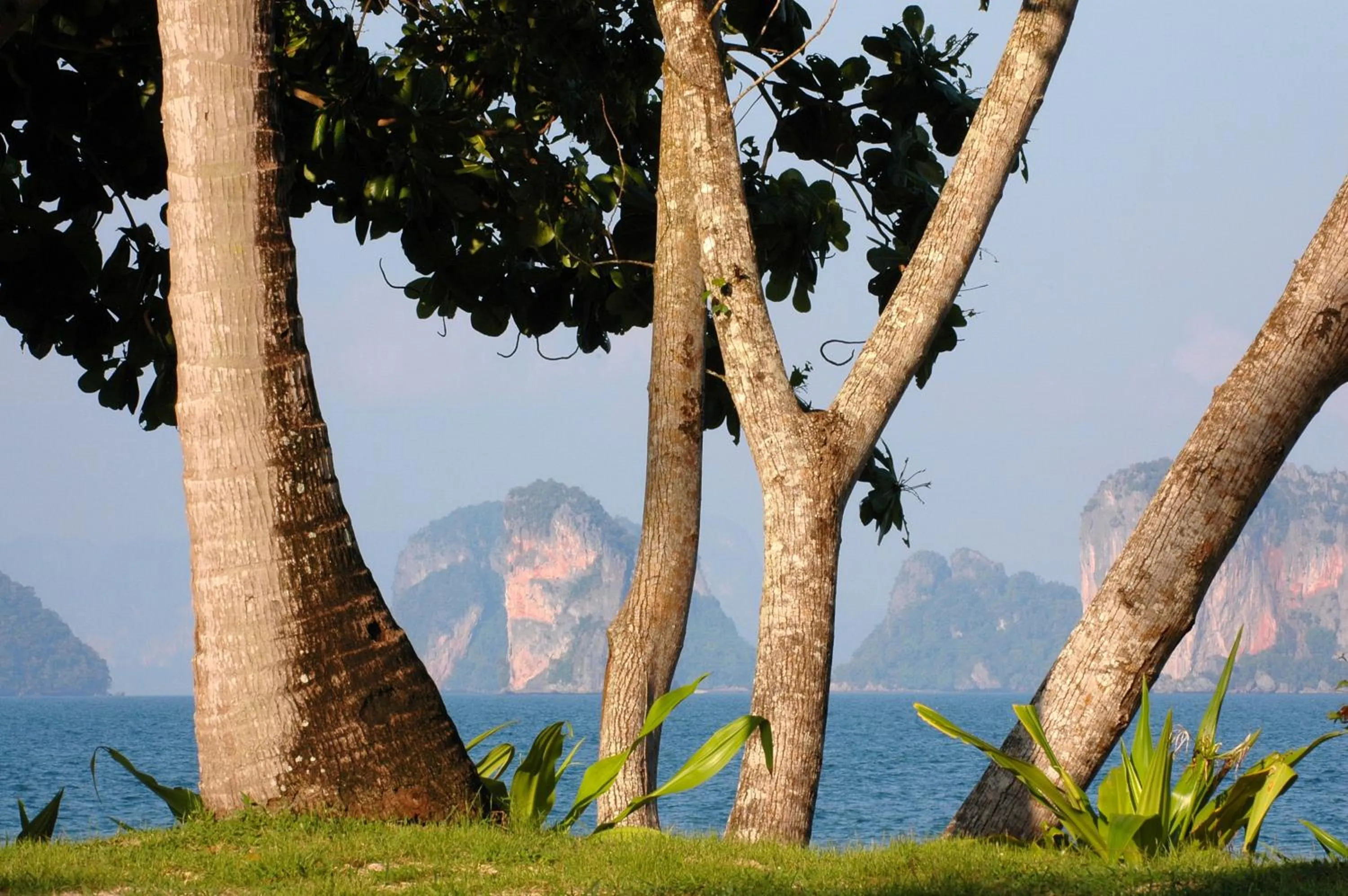 Garden in Koyao Island Resort