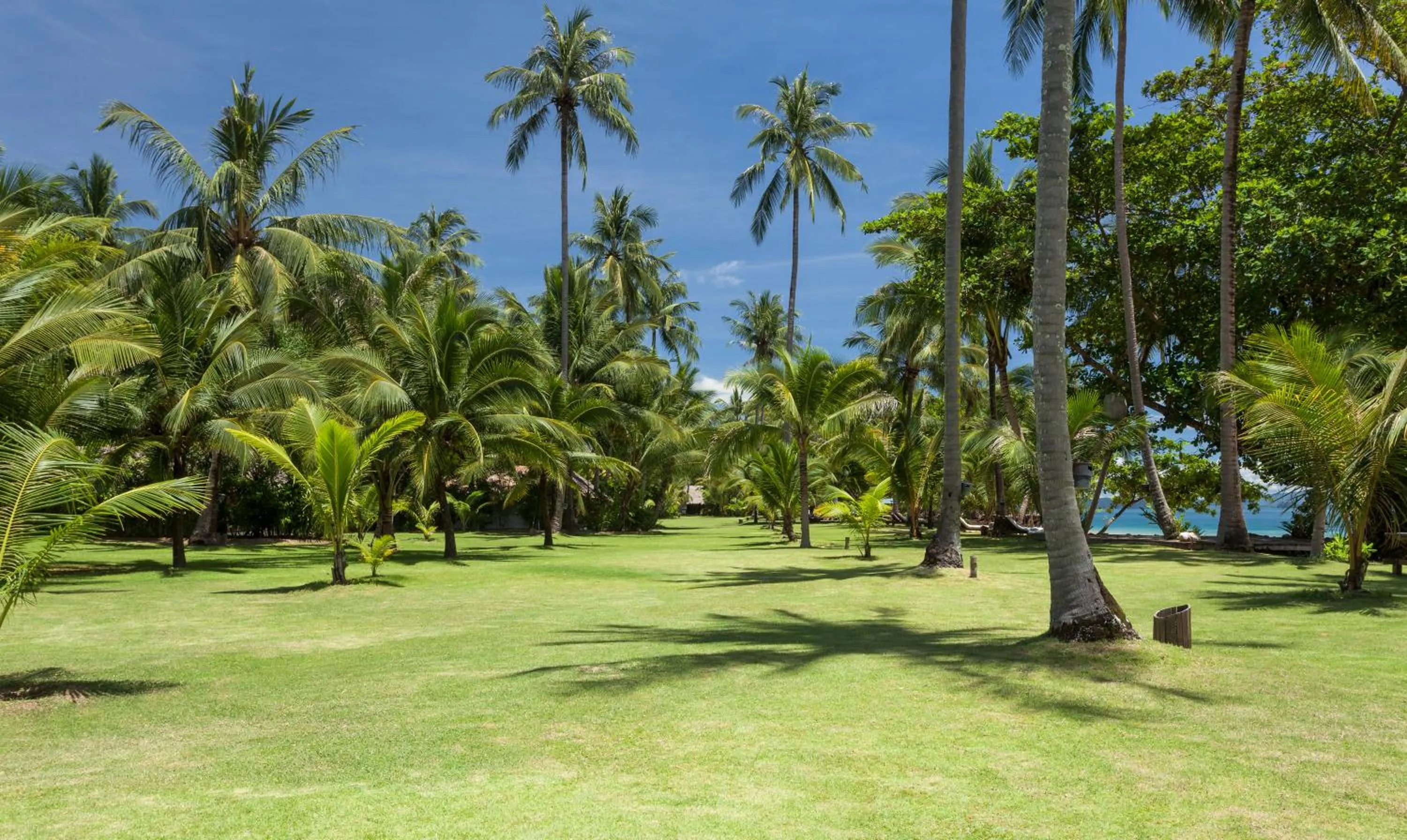 Natural landscape in Koyao Island Resort