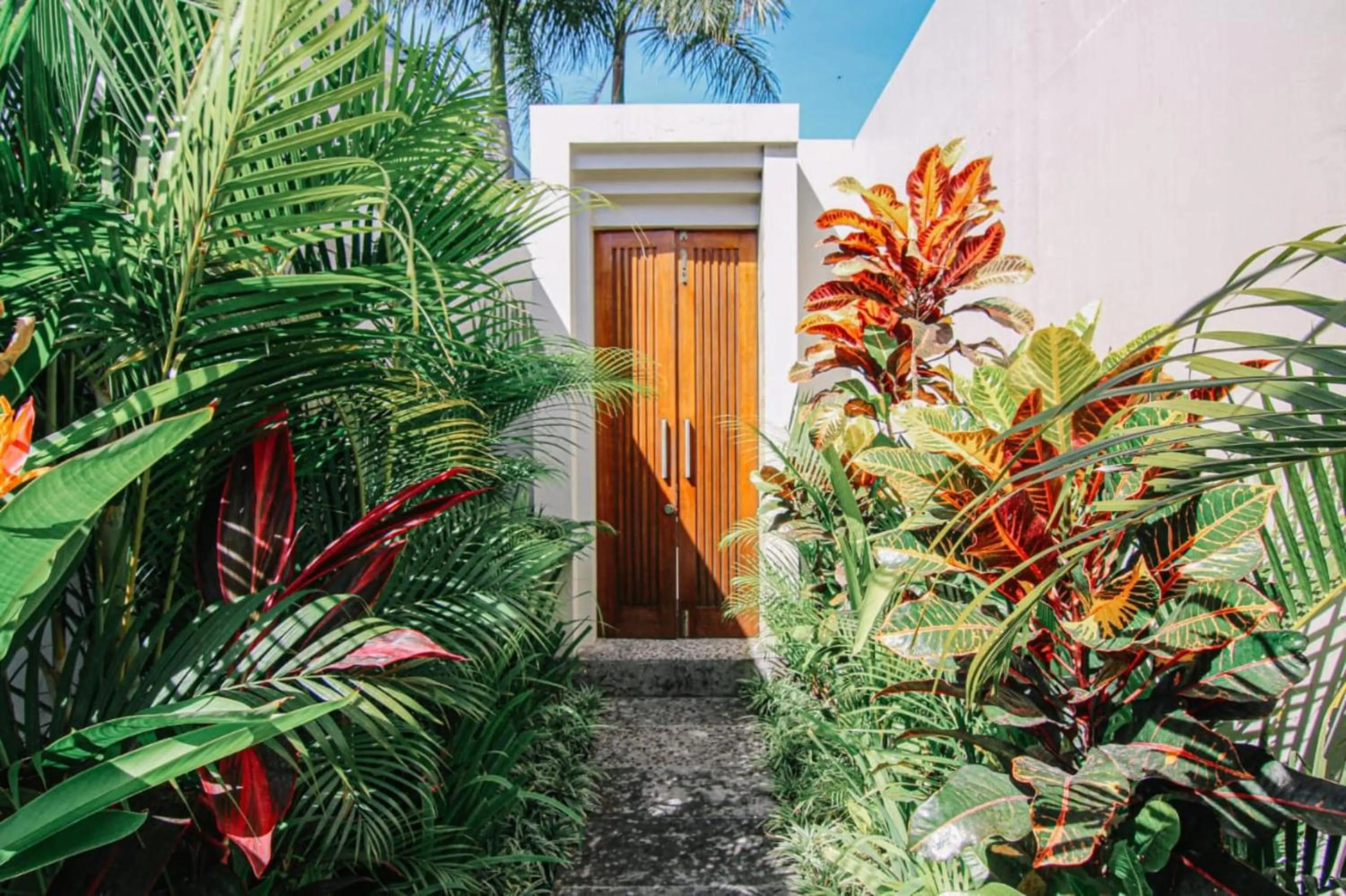 Spring in Bali Easy Living Canggu