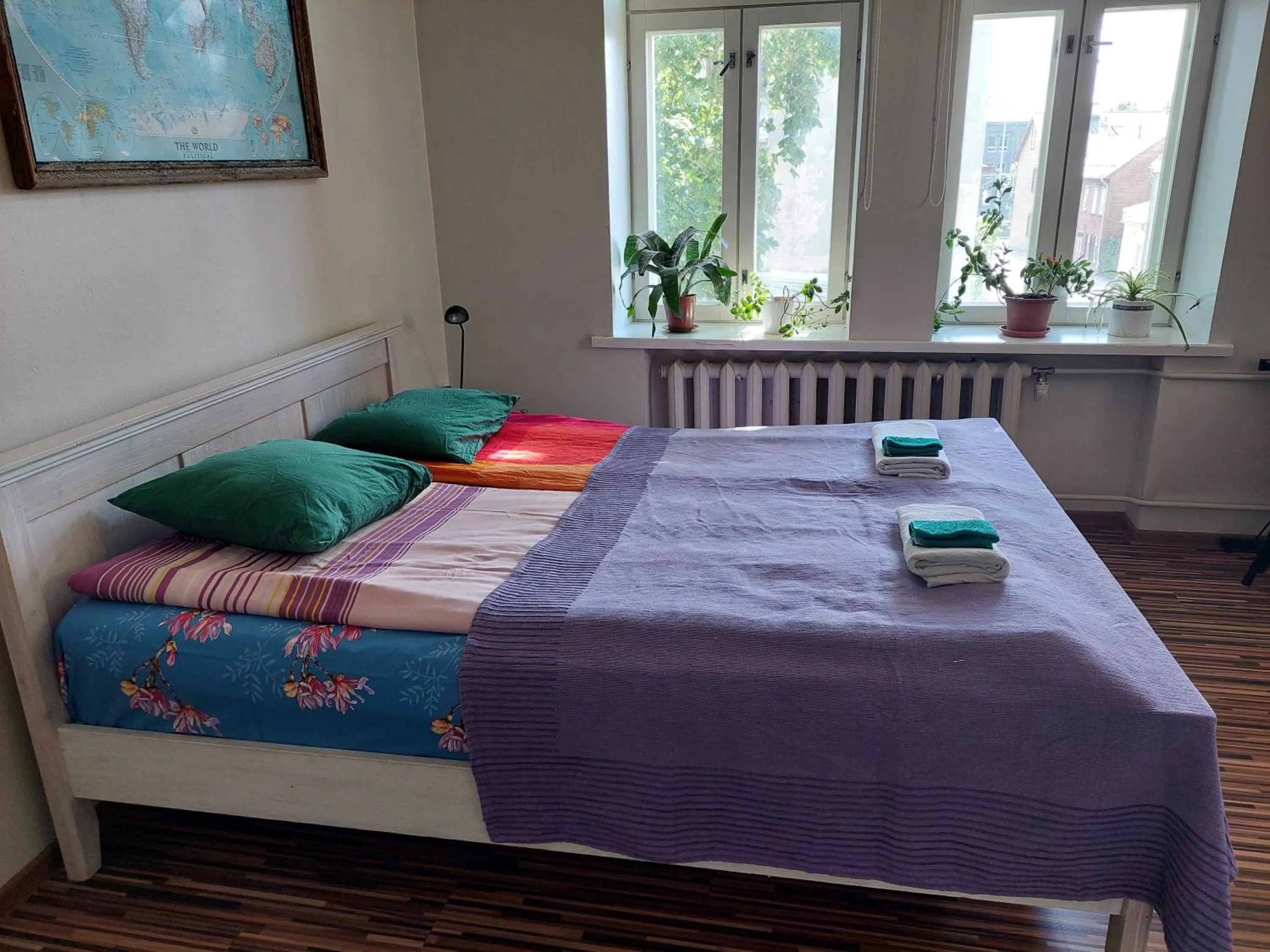 Bed in Looming Hostel