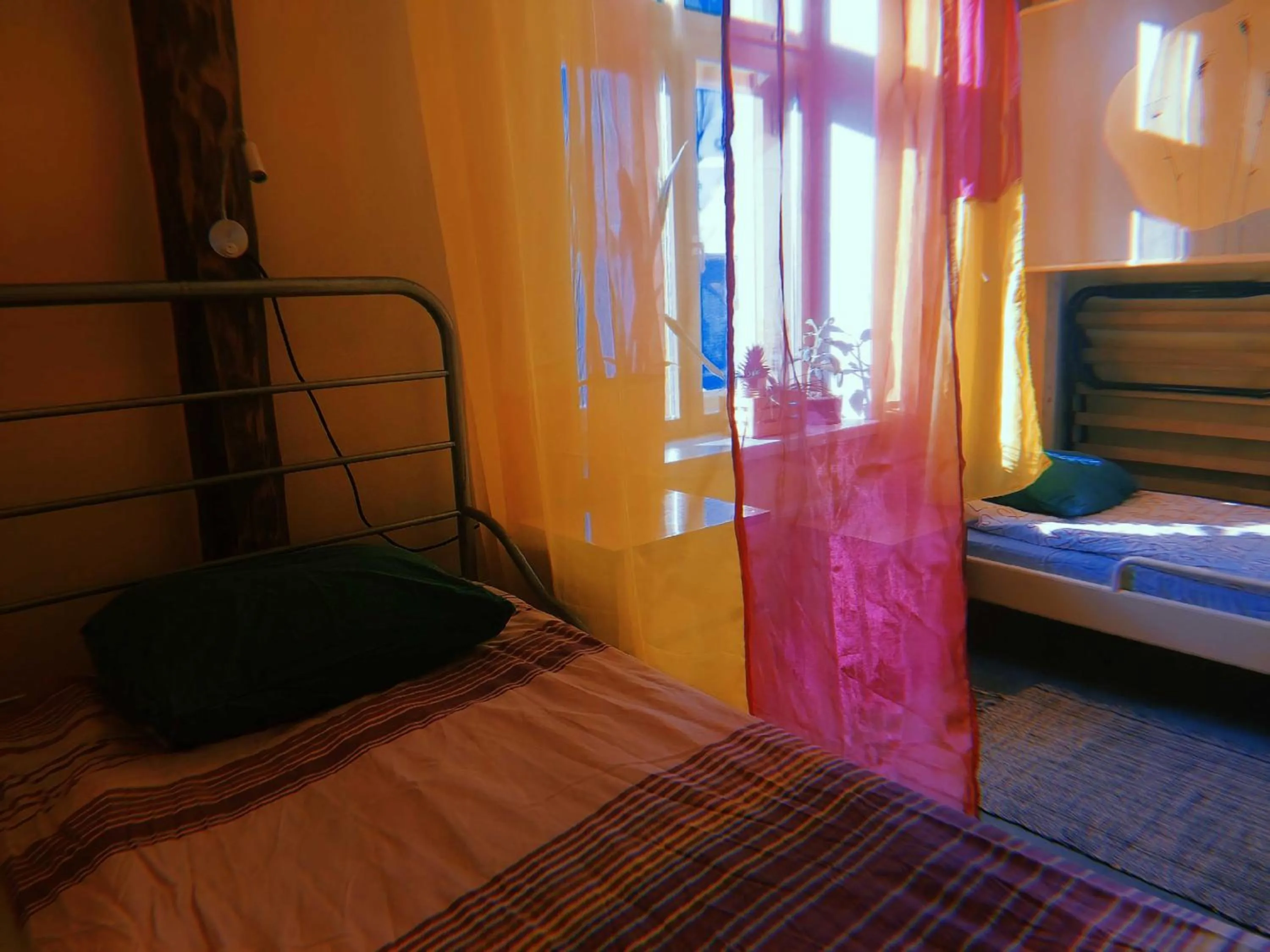 Bed in Looming Hostel