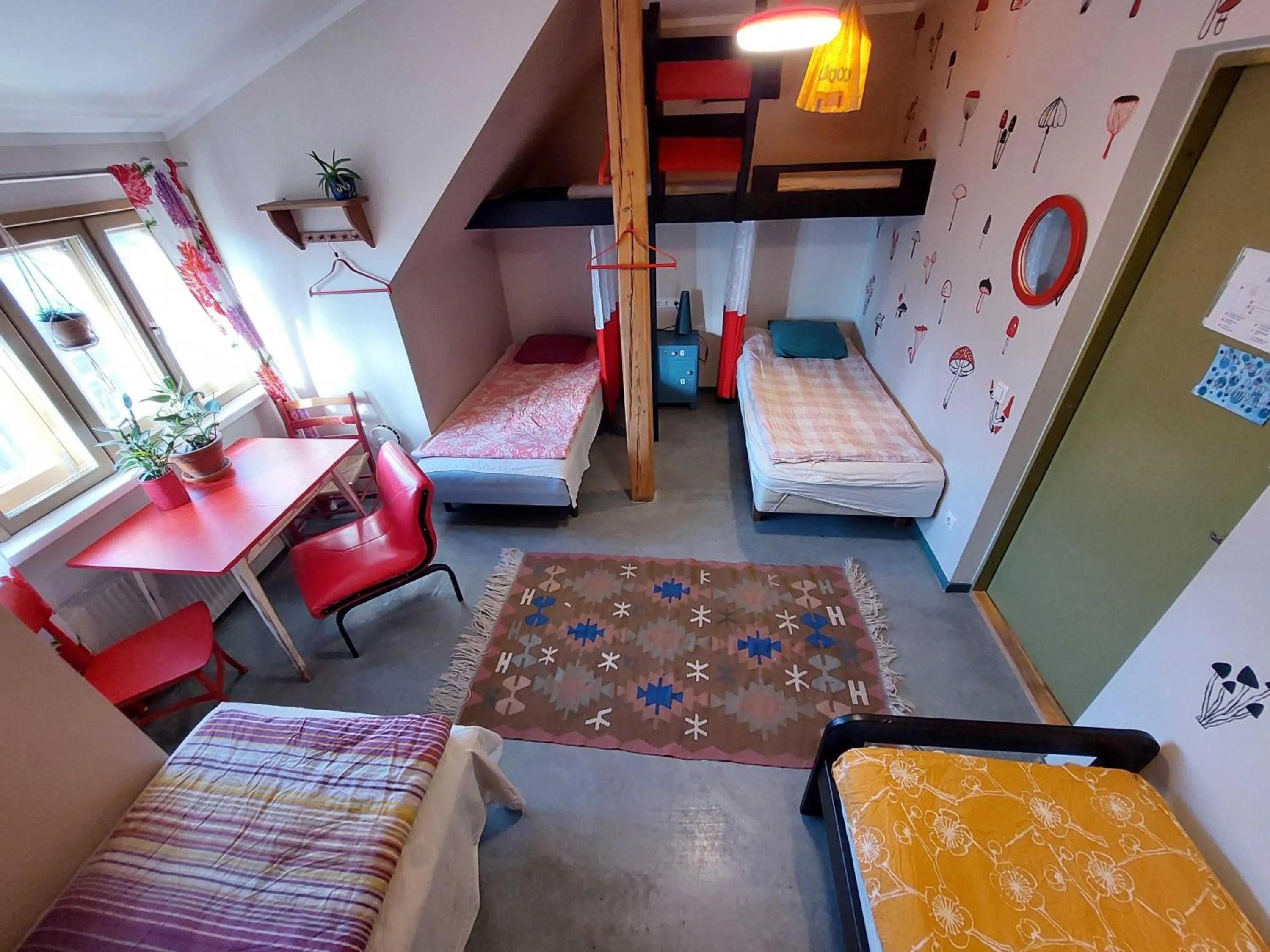 Bed in 6-Bed Female Dormitory Room in Looming Hostel