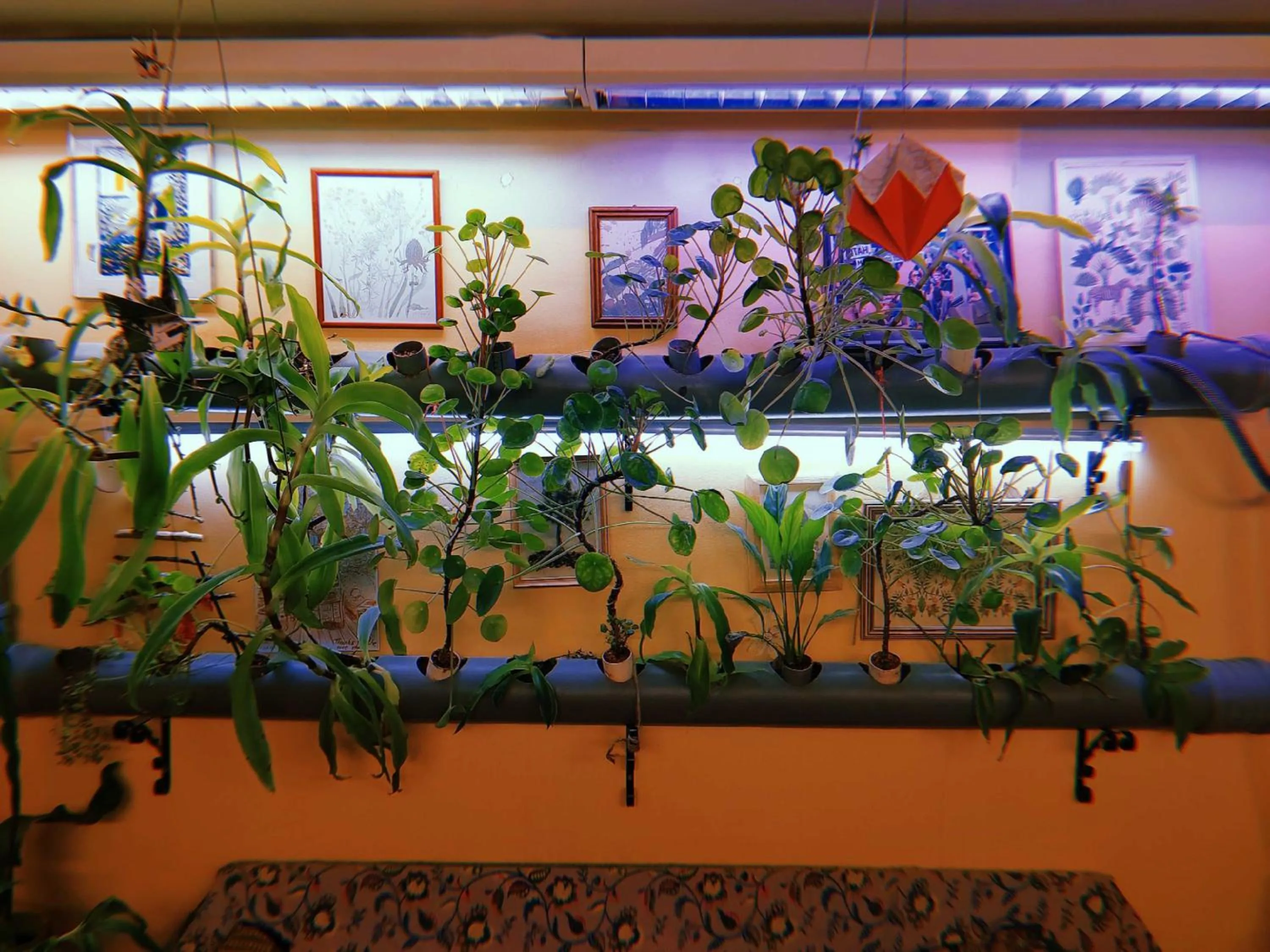 Communal lounge/ TV room in Looming Hostel