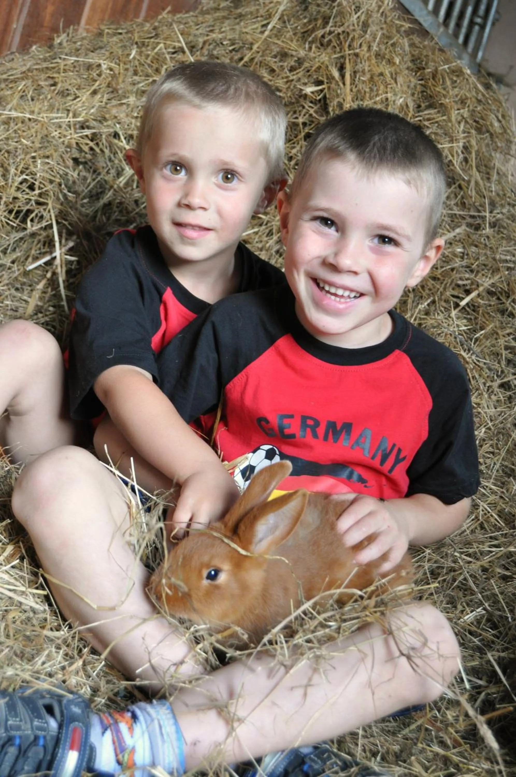 Other in Hotel Schwanen Kälberbronn