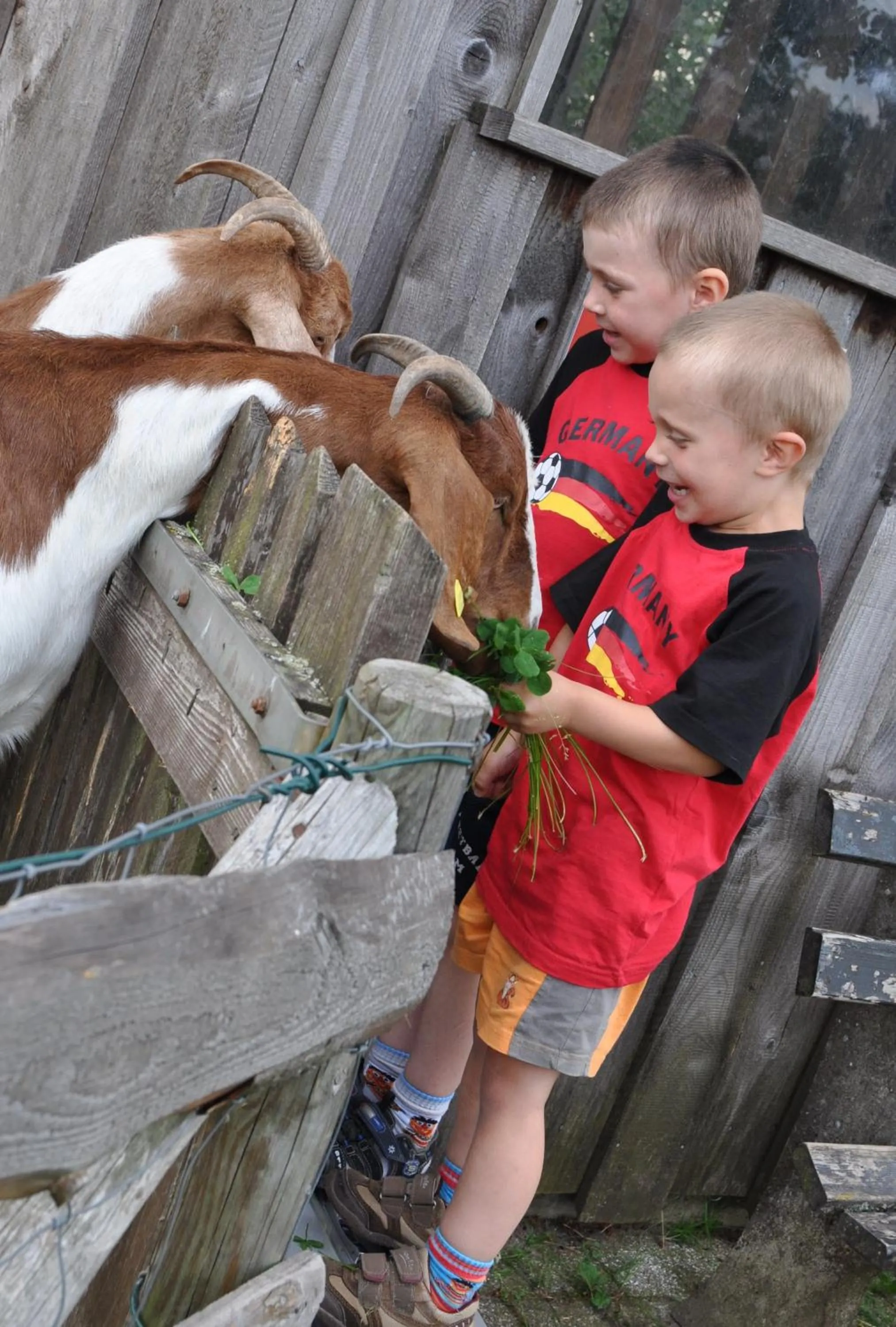 Other in Hotel Schwanen Kälberbronn