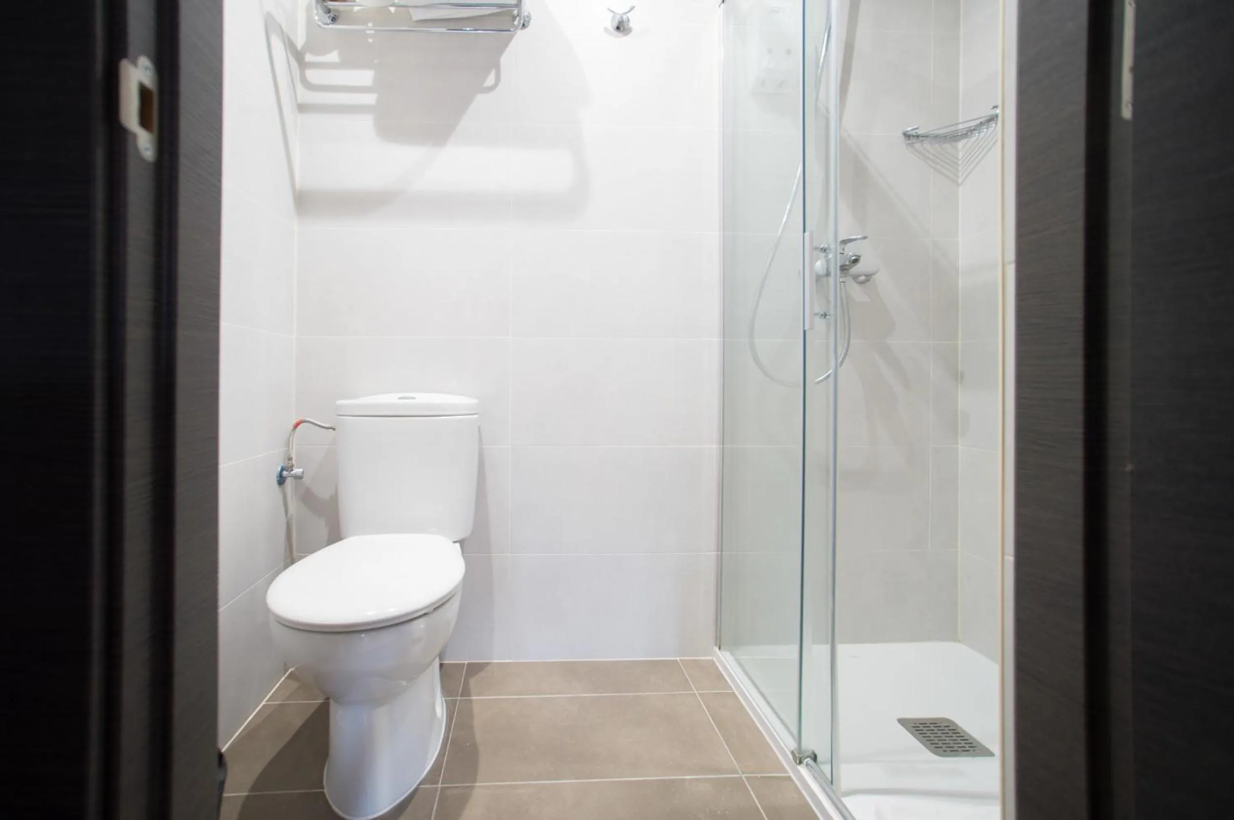 Toilet in Hostal Las Flores Ramblas