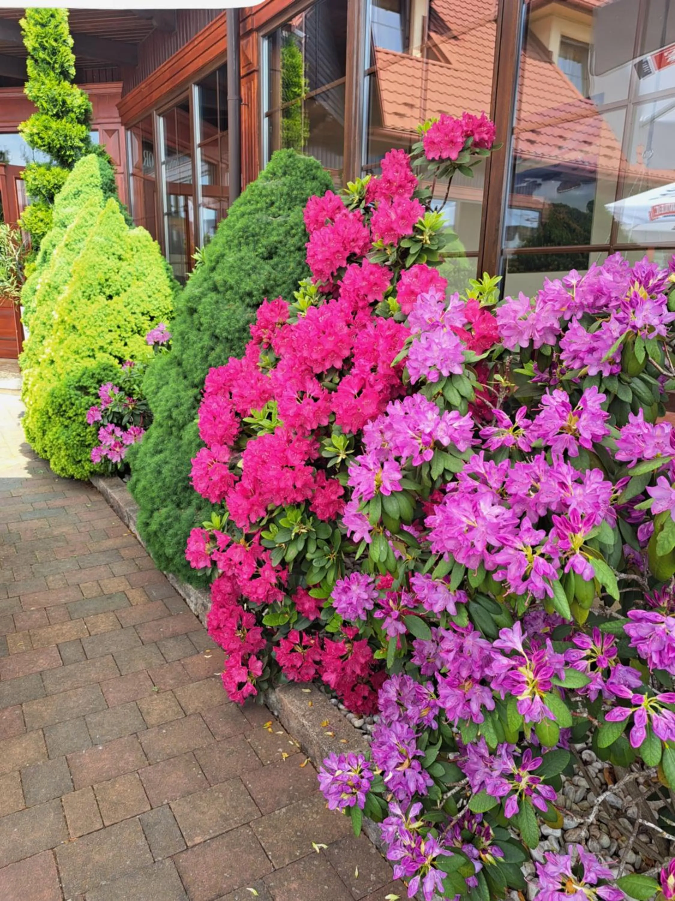 Garden in Senator Gran Via