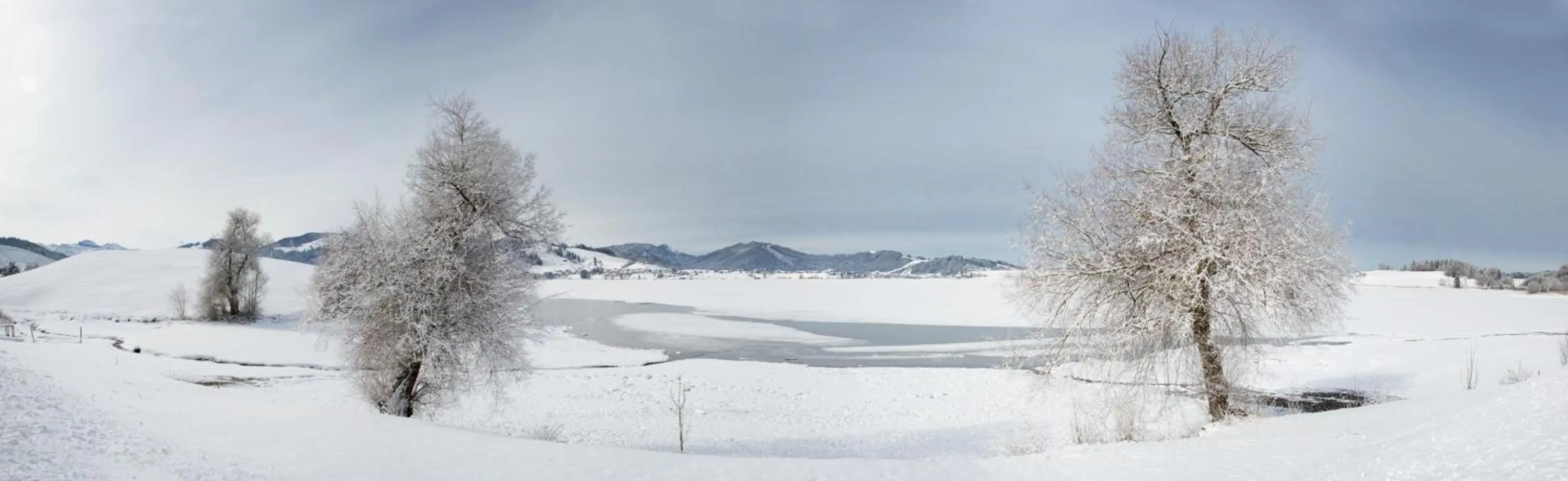 Natural landscape in B&B Ferienhof am See
