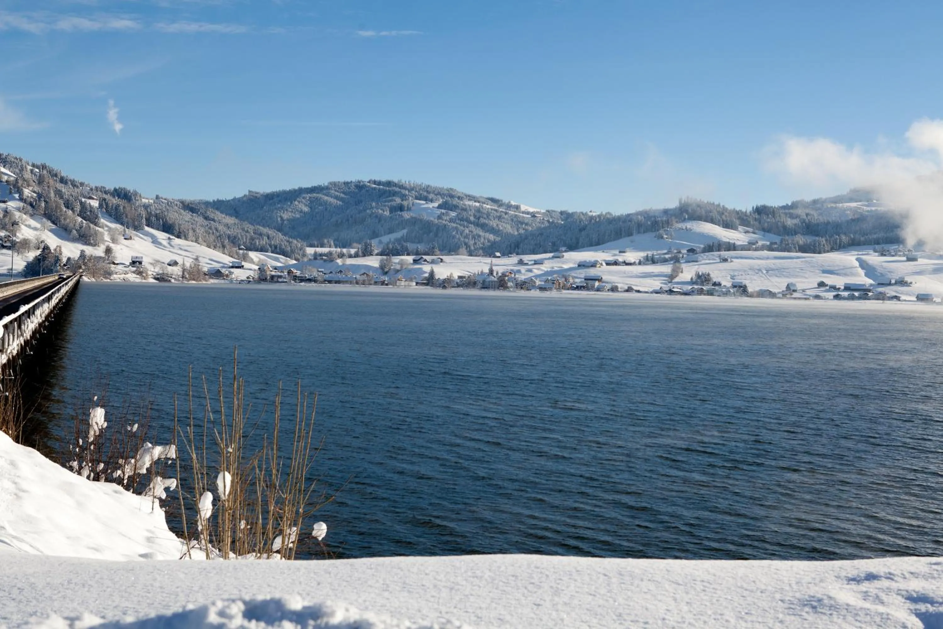 Natural landscape in B&B Ferienhof am See