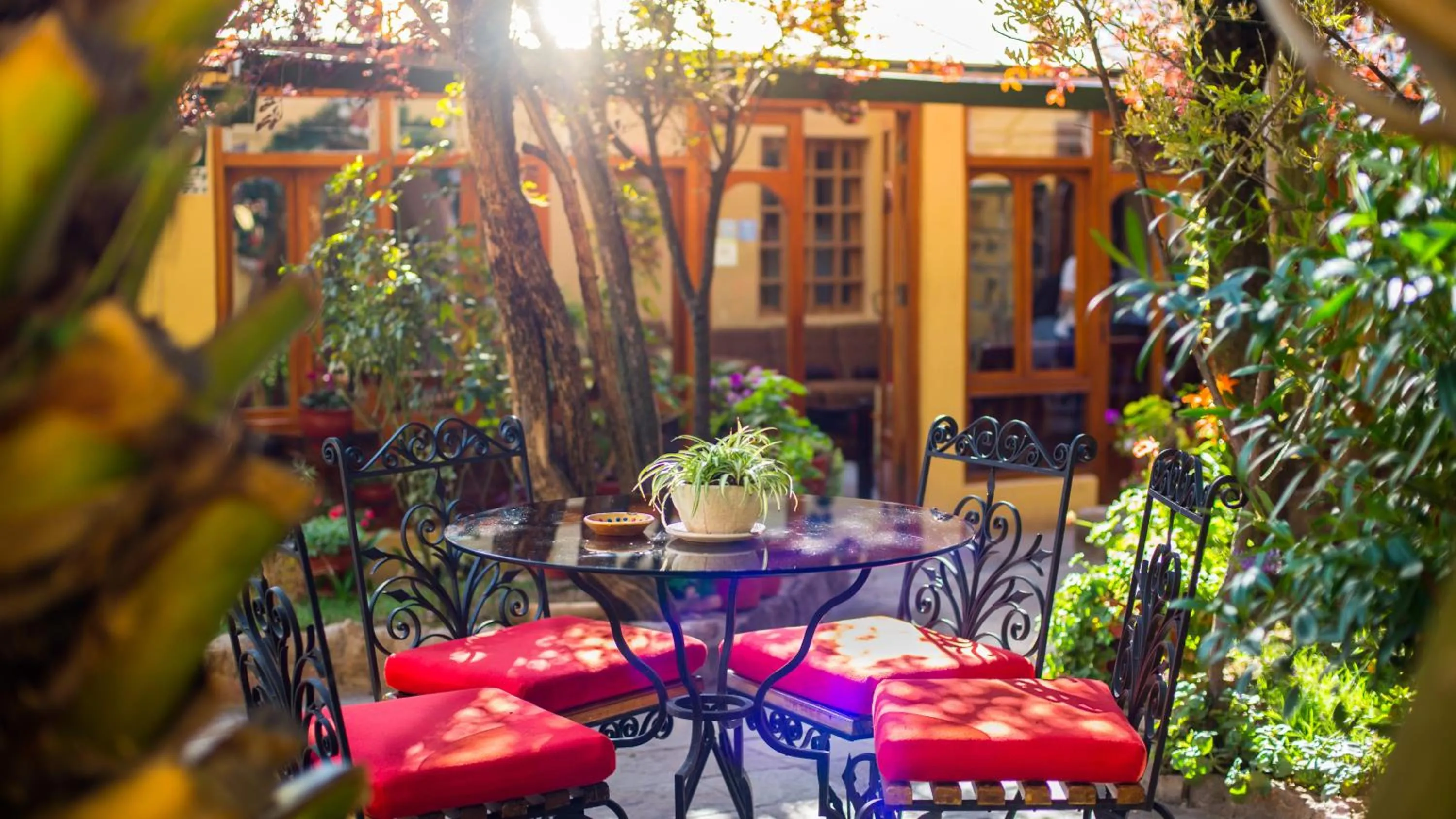 Patio in Hosteria de Anita