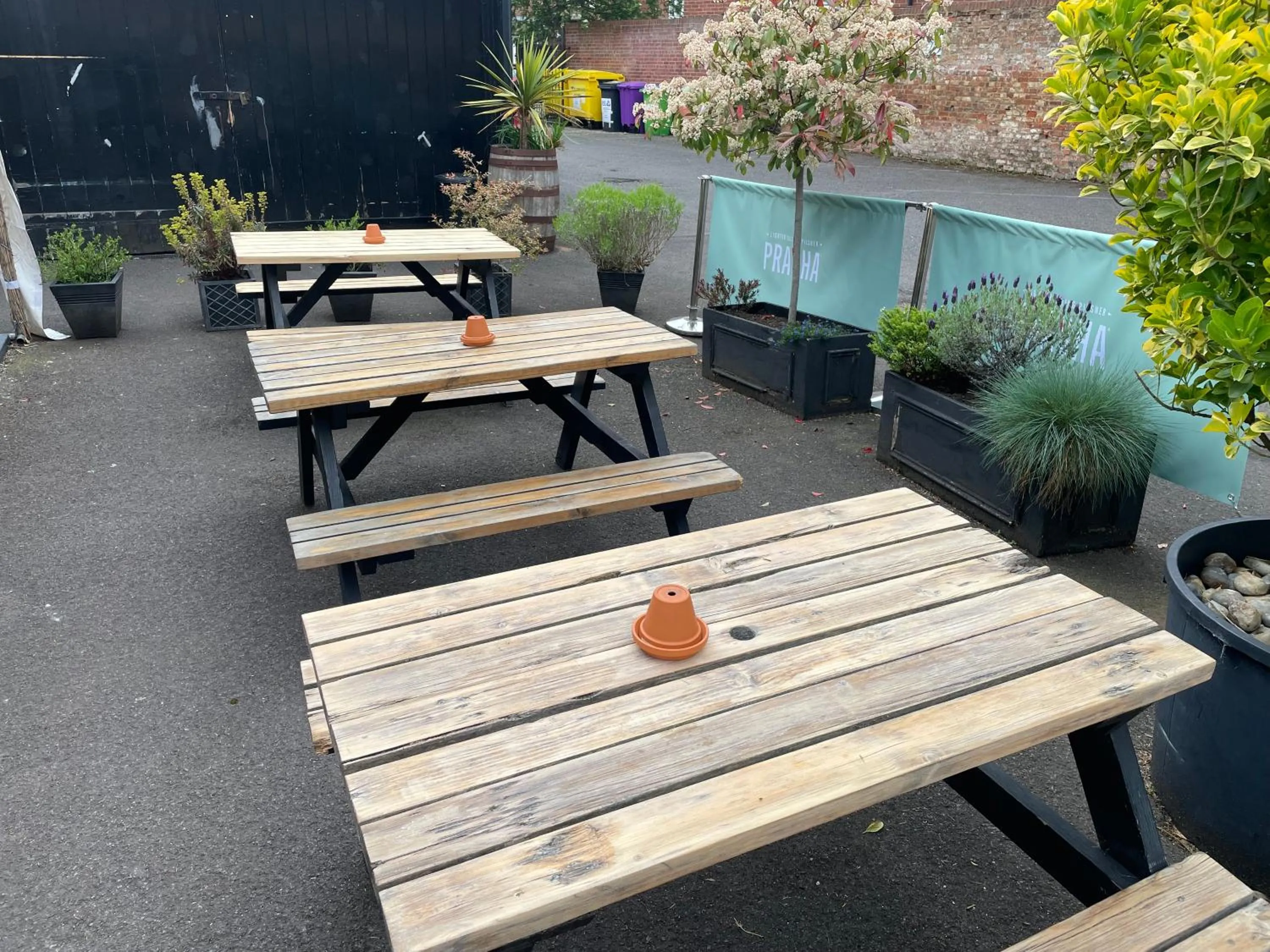 Garden in The Olde Swan Hotel