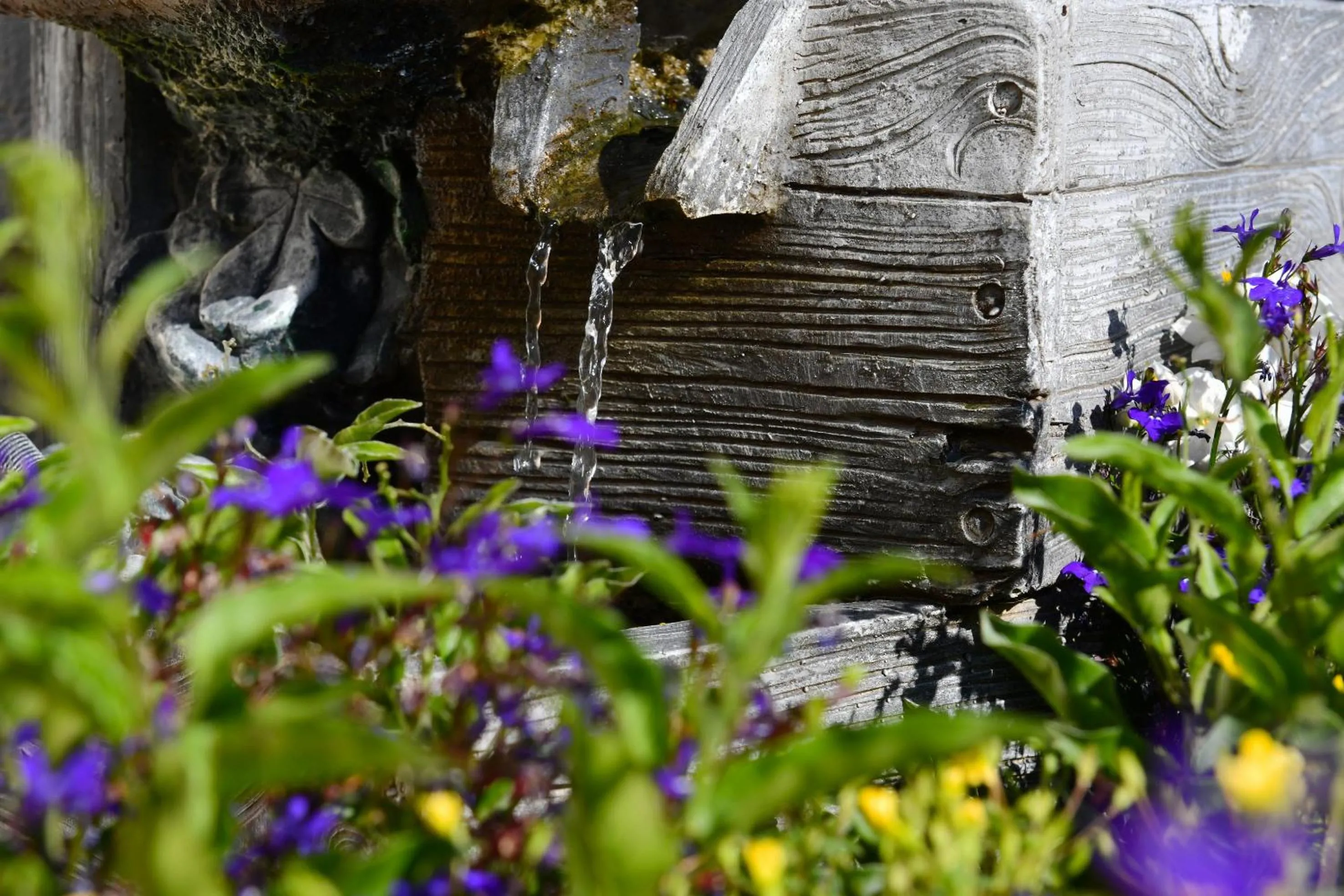Garden in Landhotel Jungbrunnen