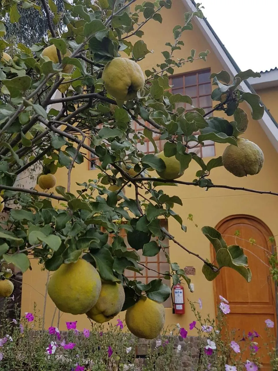 Garden in Amaru Valle Hotel