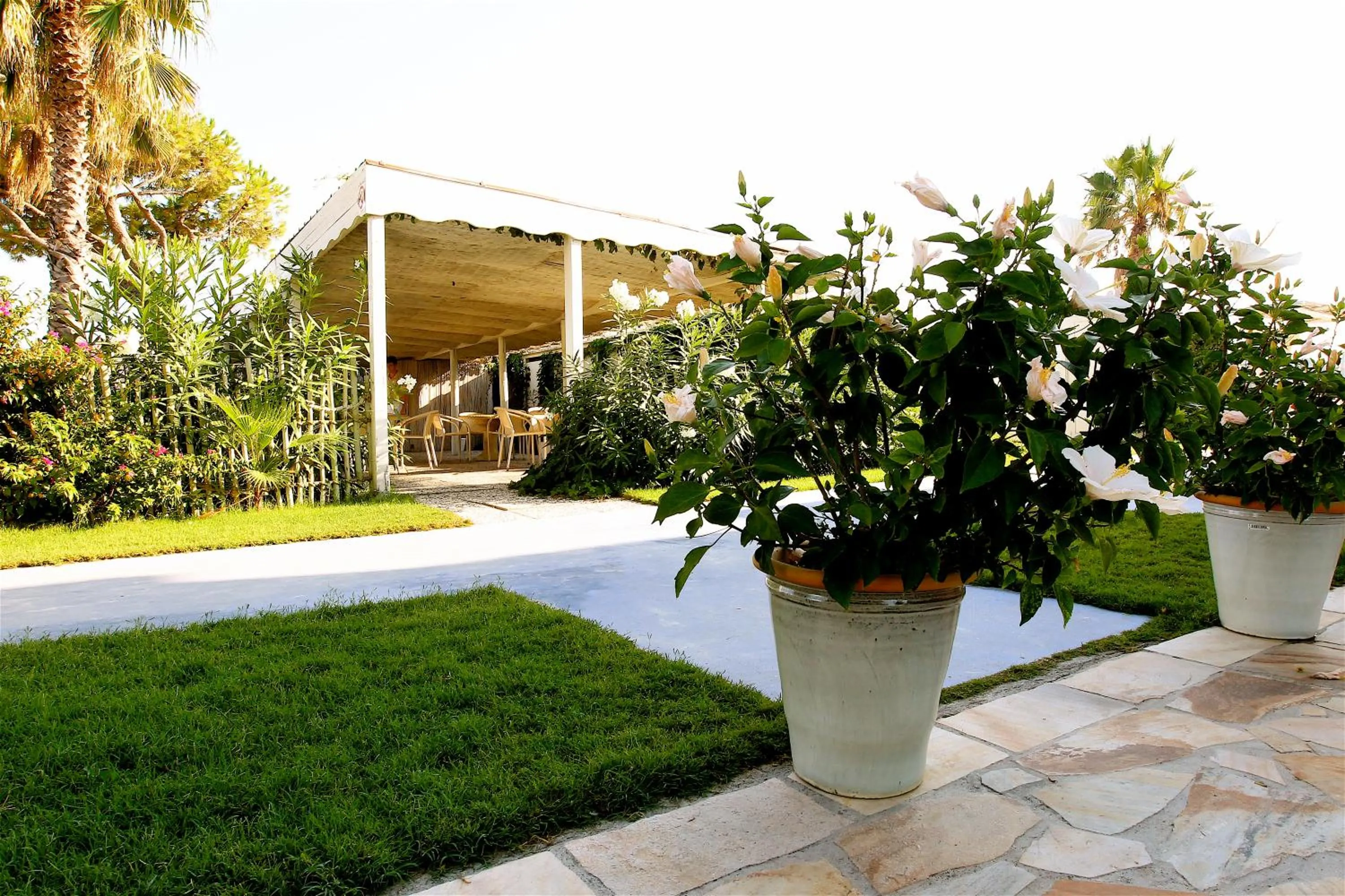 Facade/entrance in Hotel Bagni Lido