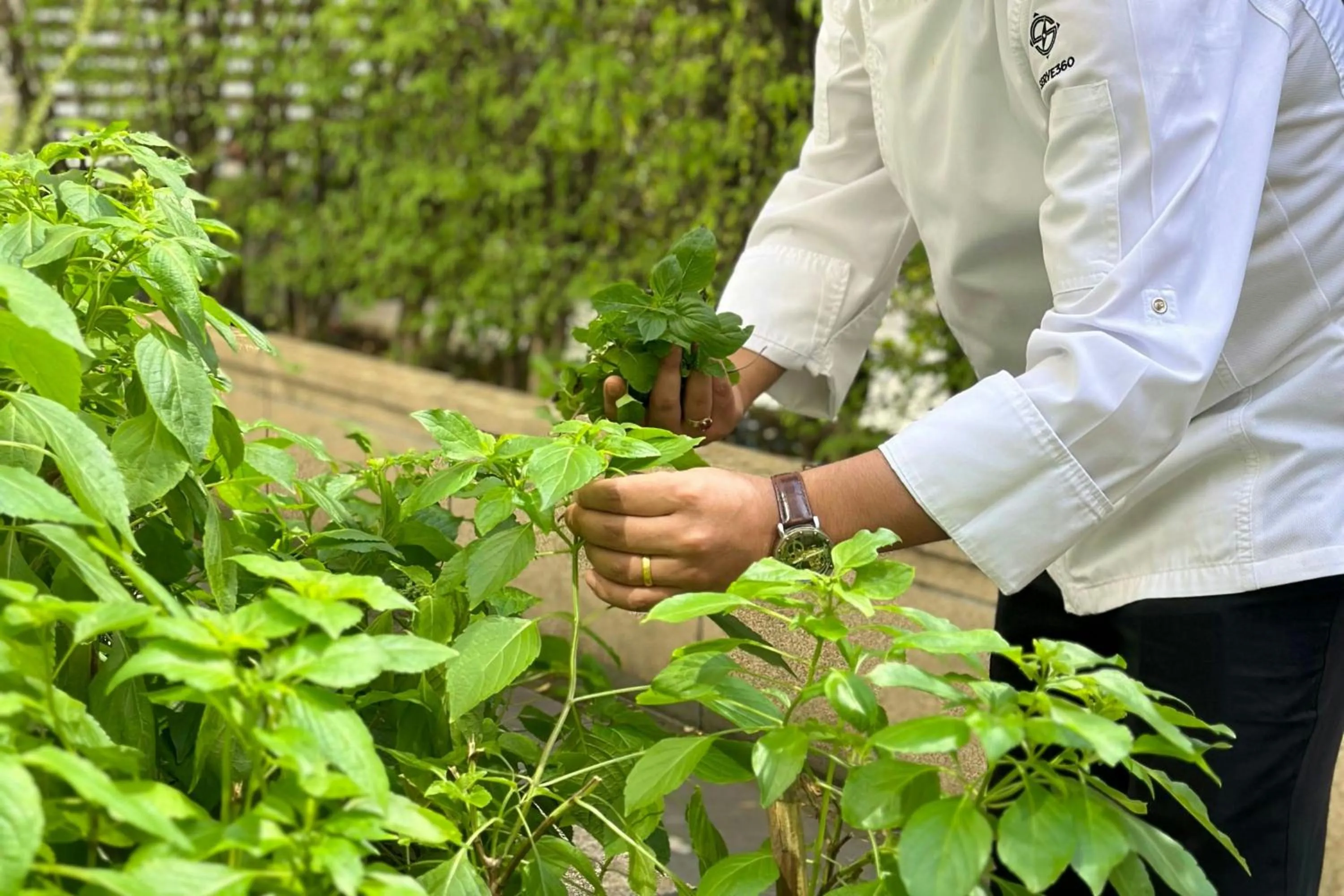 Restaurant/places to eat in Courtyard by Marriott Bangkok