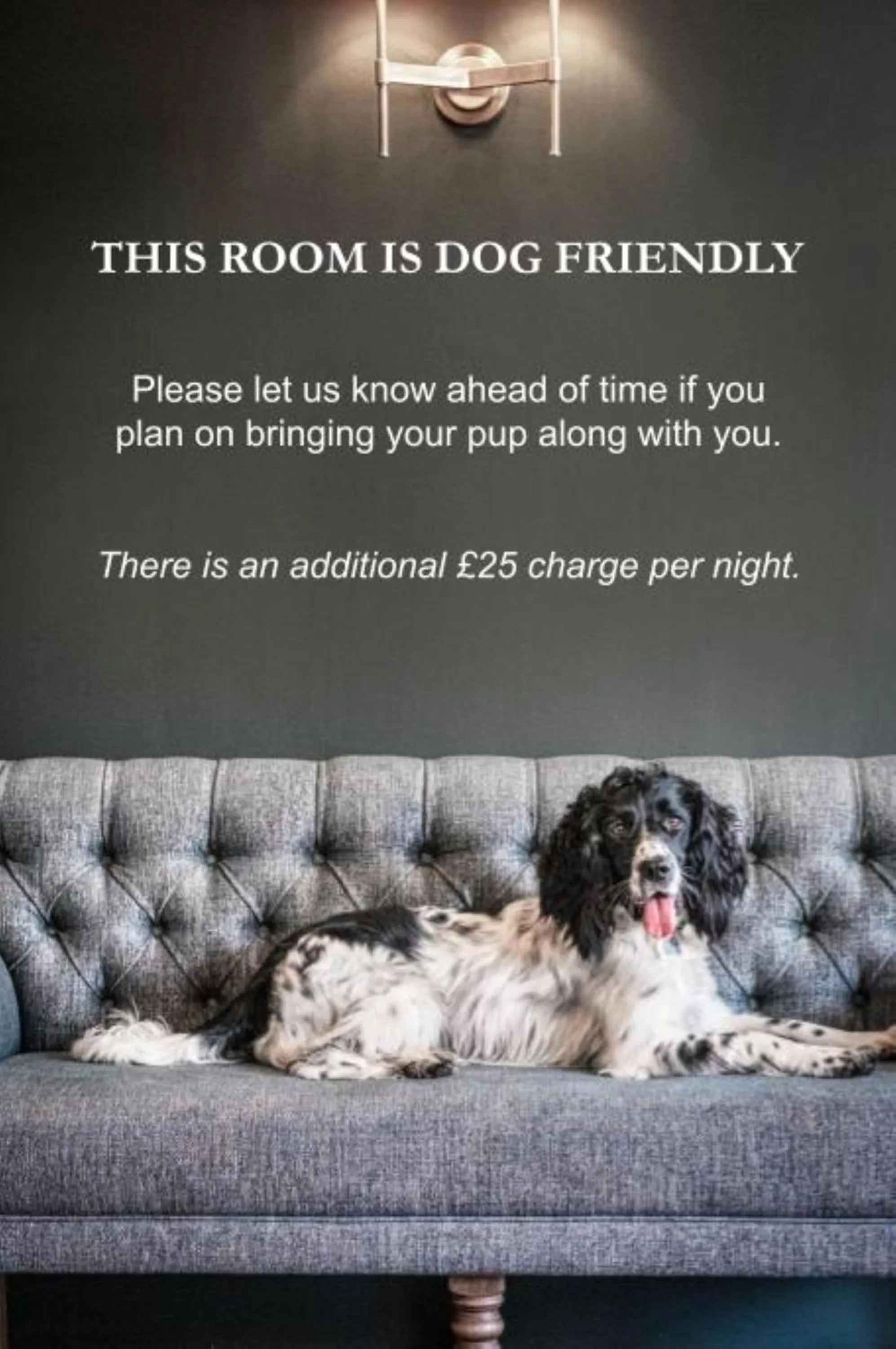 Pets in The Globe Inn