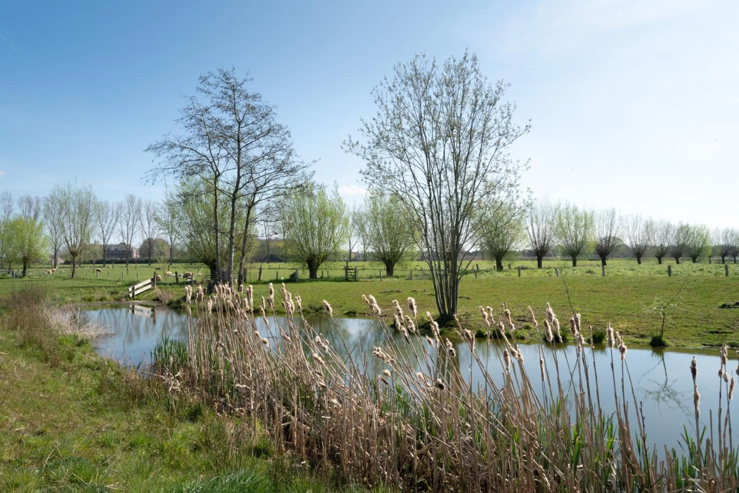 Natural landscape in Hoeve de Mertel