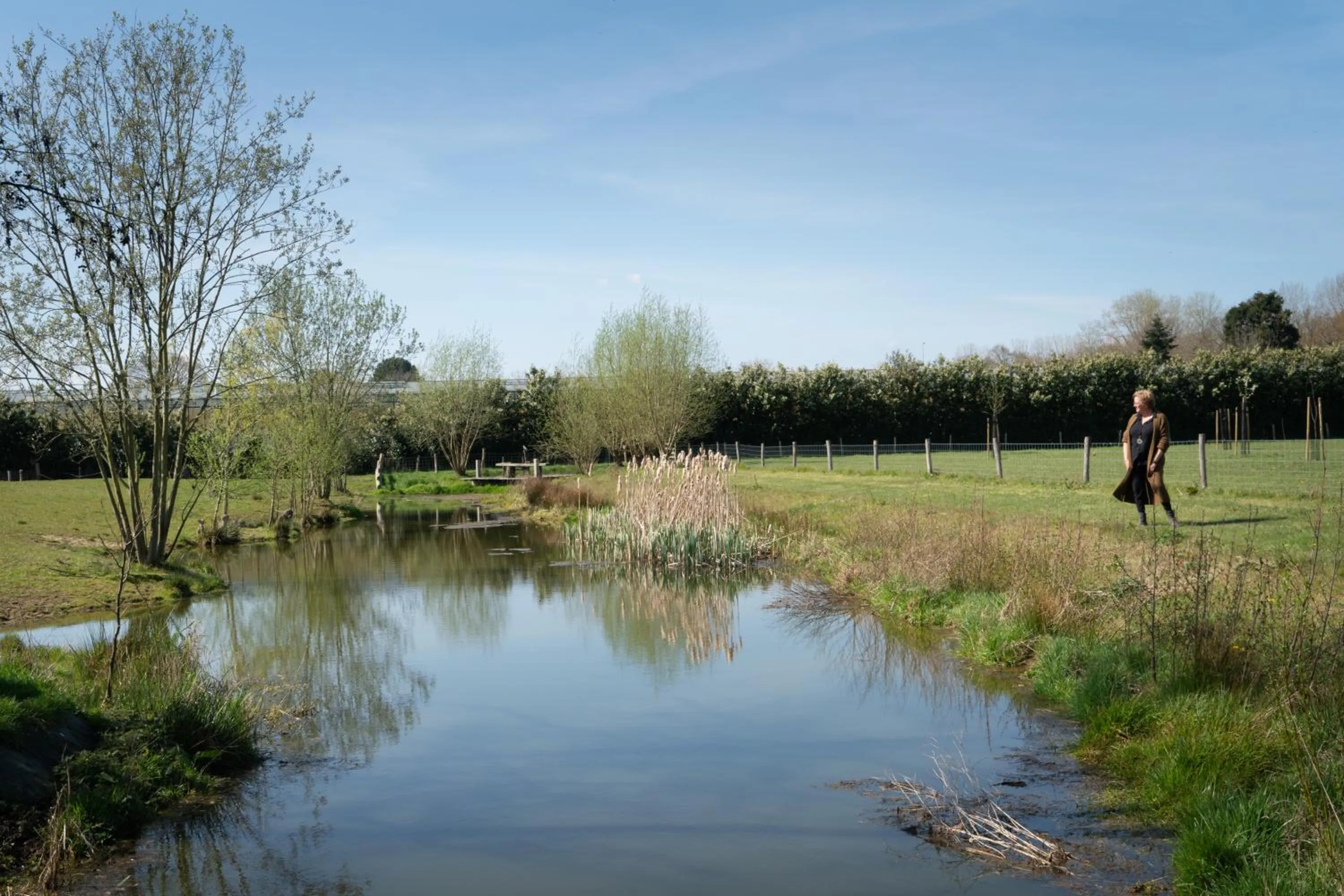 Natural landscape in Hoeve de Mertel