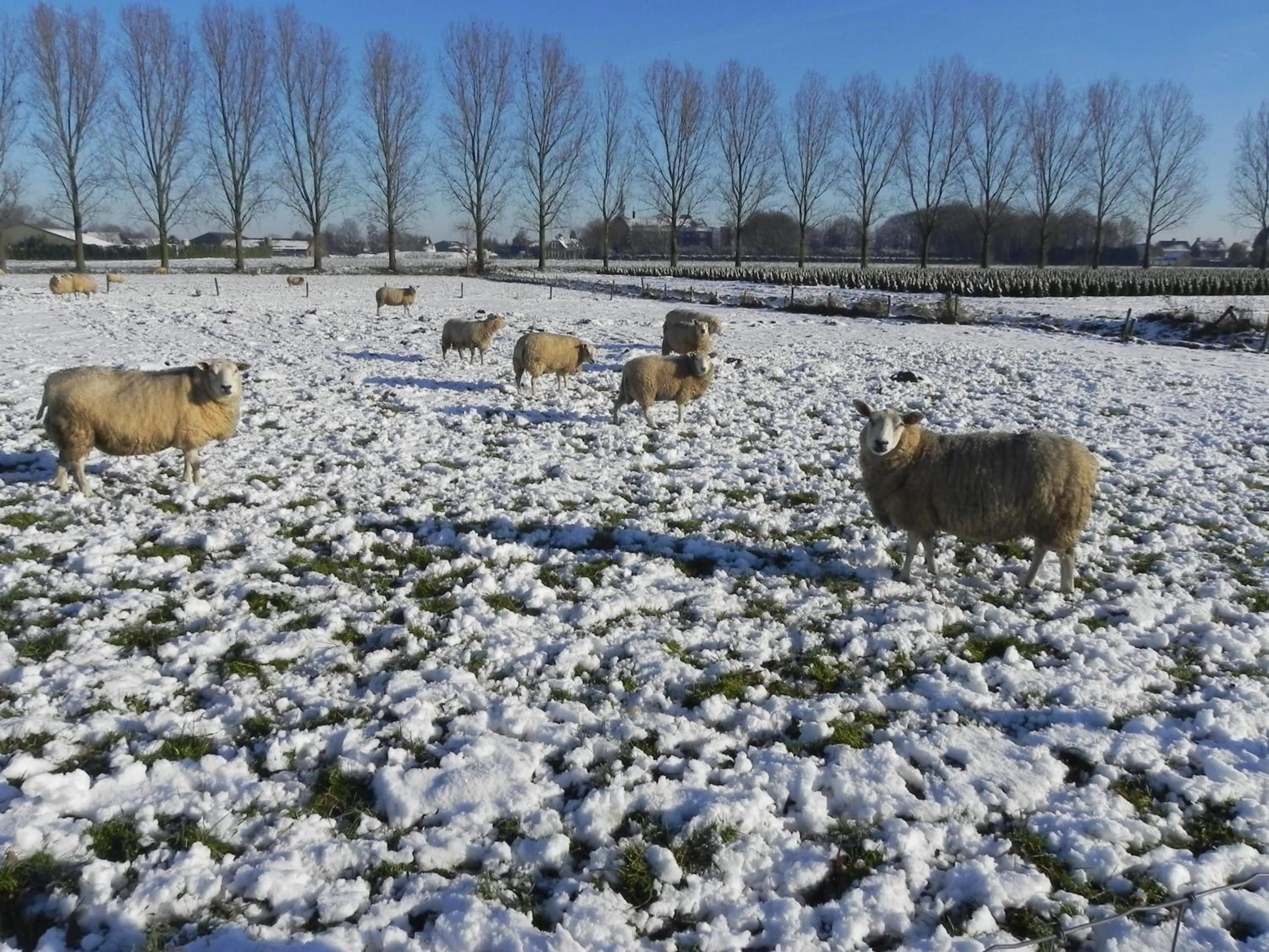 Winter in Hoeve de Mertel