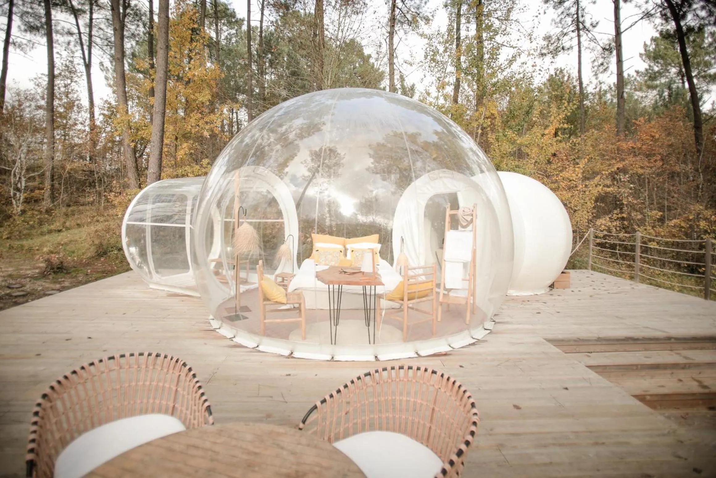 Photo of the whole room in Les Bulles De Bordeaux