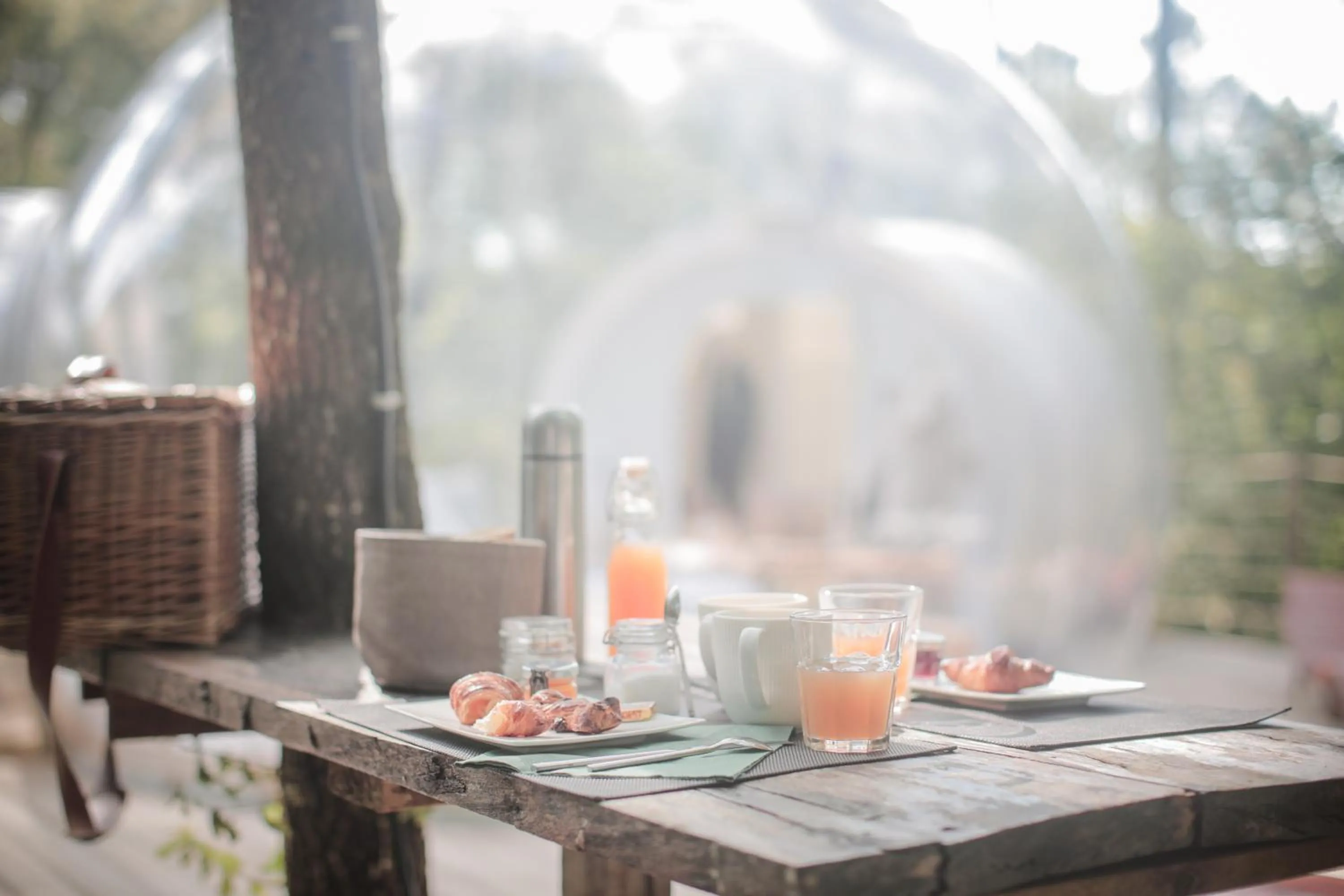 Food and drinks in Les Bulles De Bordeaux