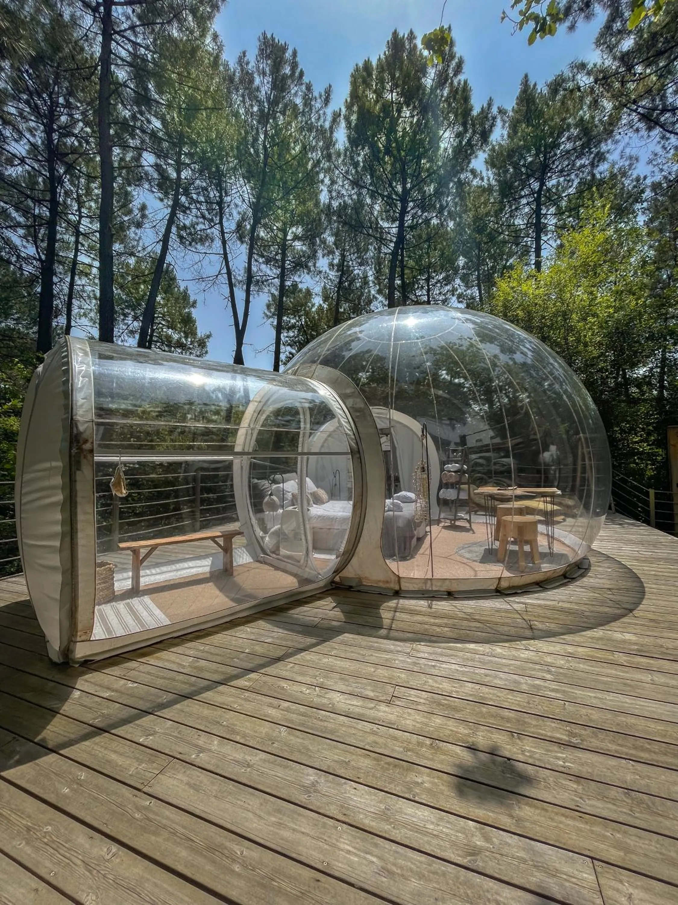 Photo of the whole room in Les Bulles De Bordeaux