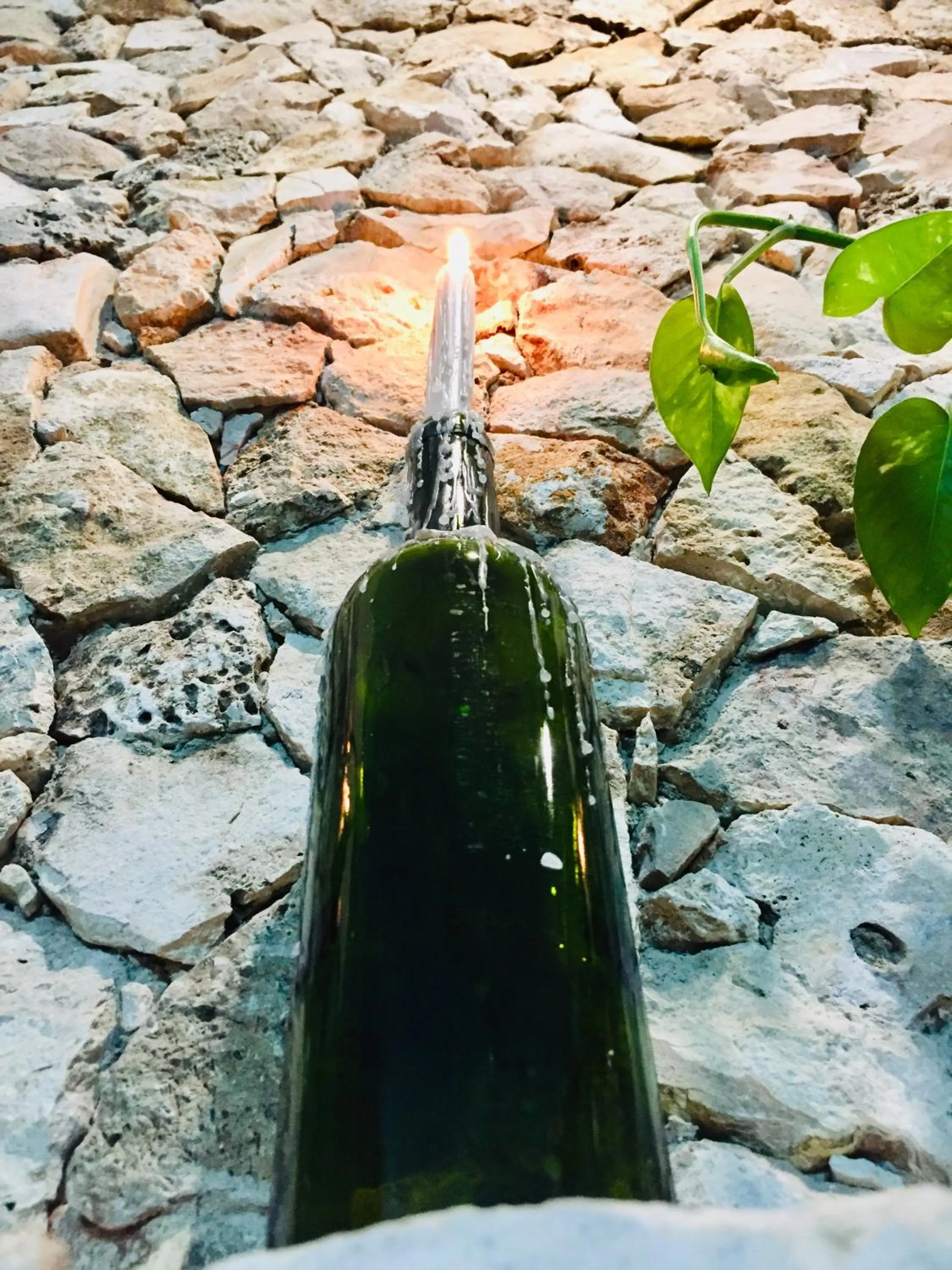 Casa de Ines y Victoria