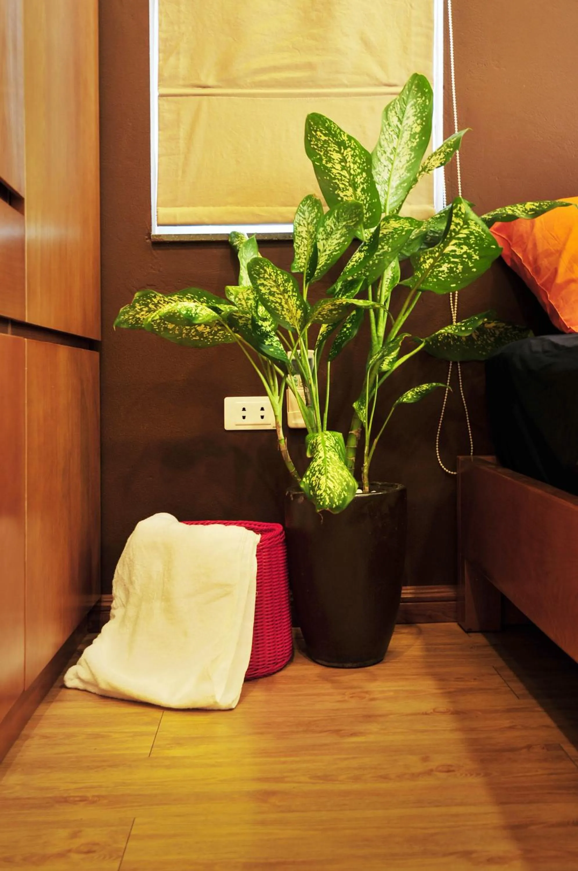 Bedroom in Chez Tram Homestay