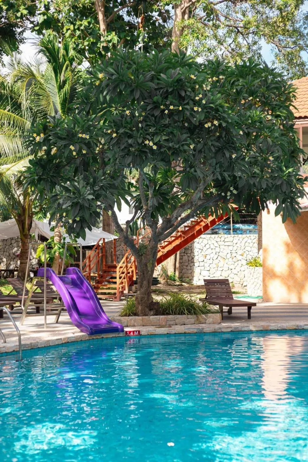 Swimming pool in Bella Villa Pattaya 3rd Road