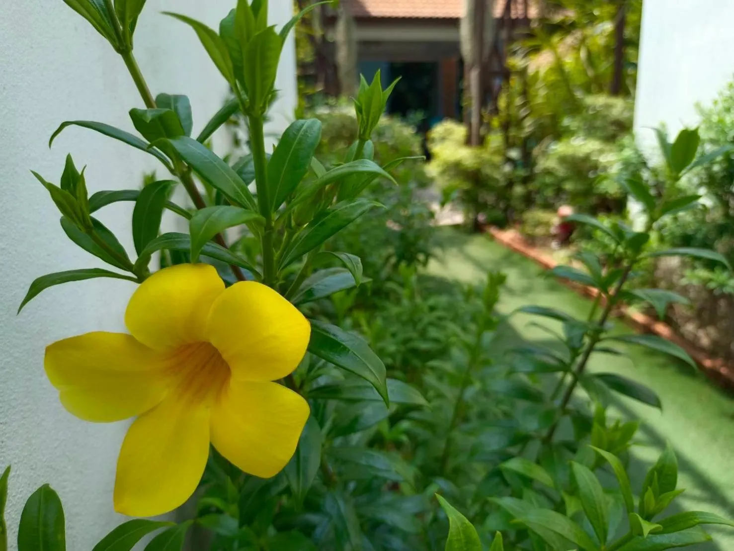 View (from property/room) in Phannarai House