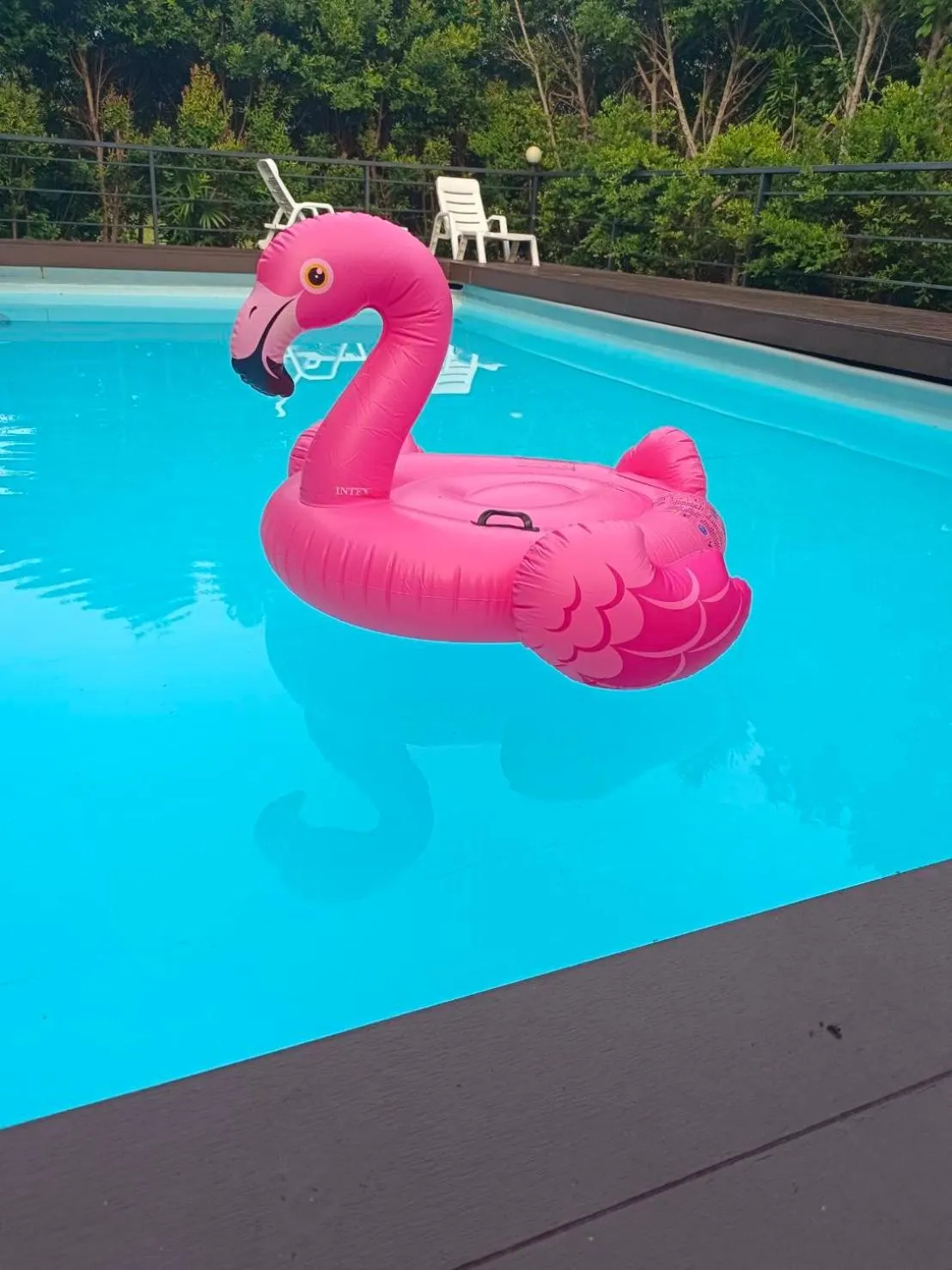 Swimming pool in Phannarai House