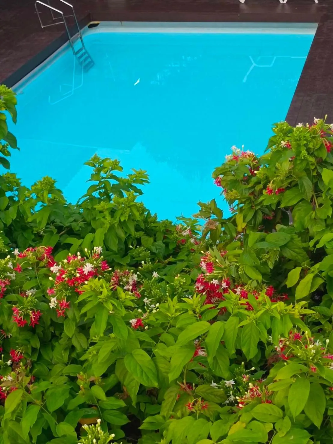 Swimming pool in Phannarai House