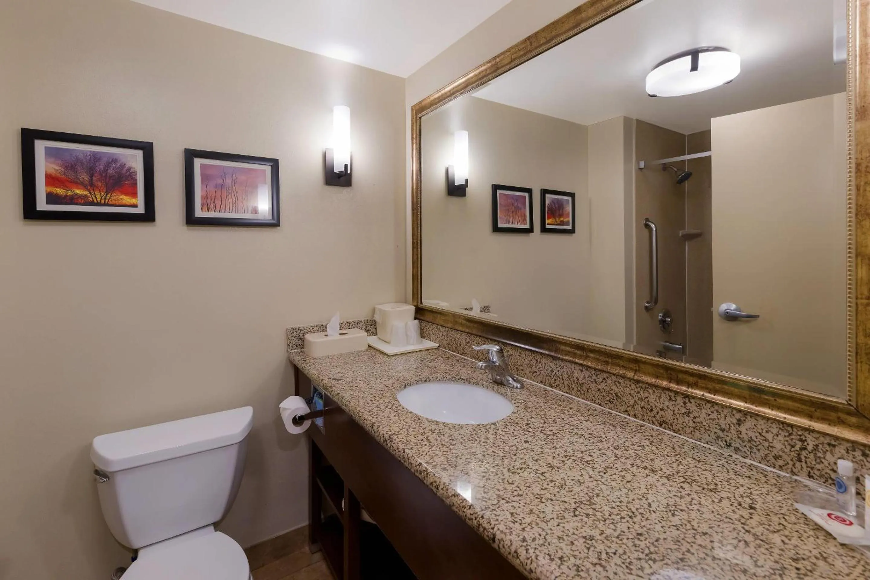 Bedroom in Comfort Suites El Paso West