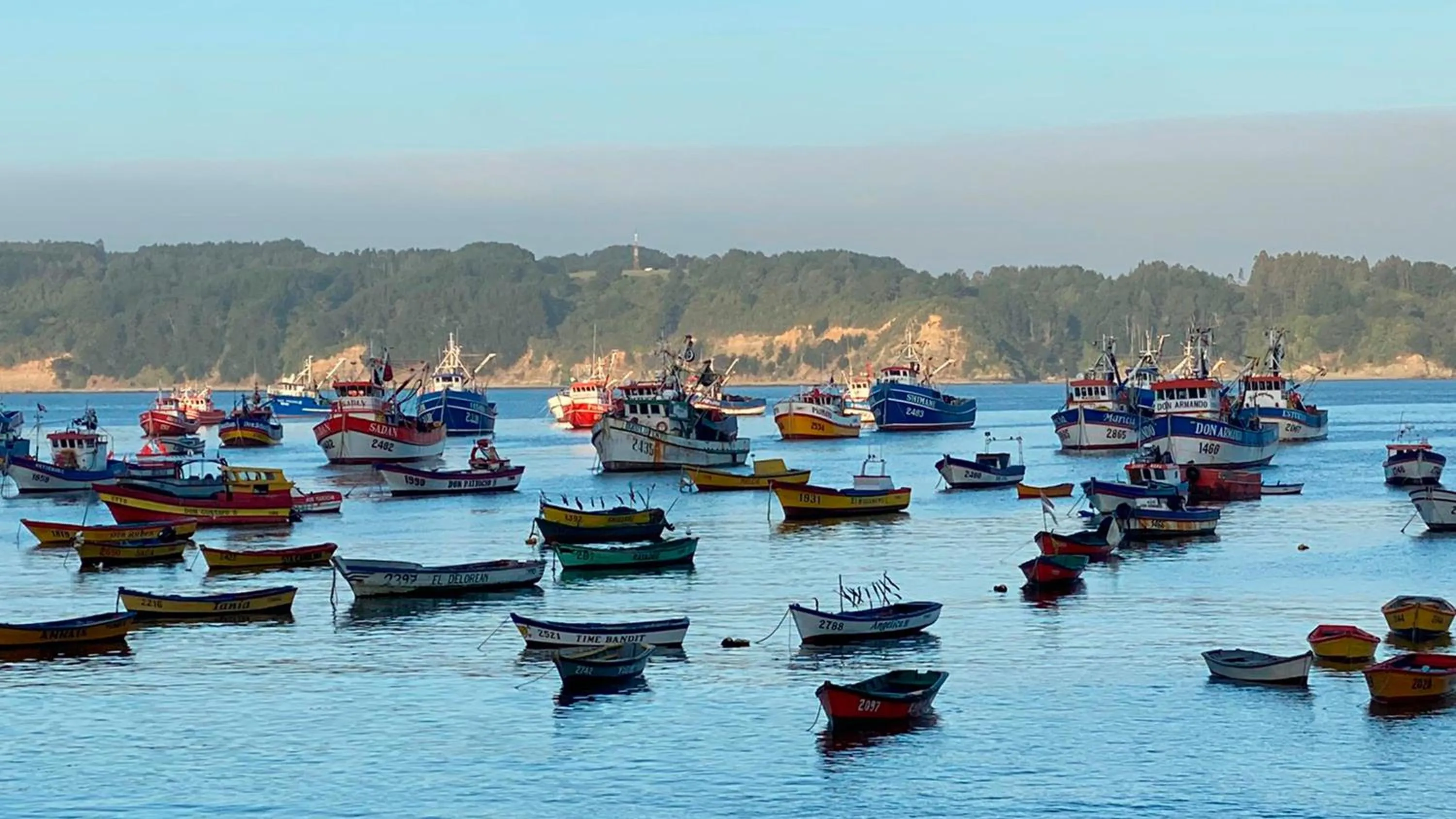 Nearby landmark in Holiday Inn Express - Concepcion by IHG