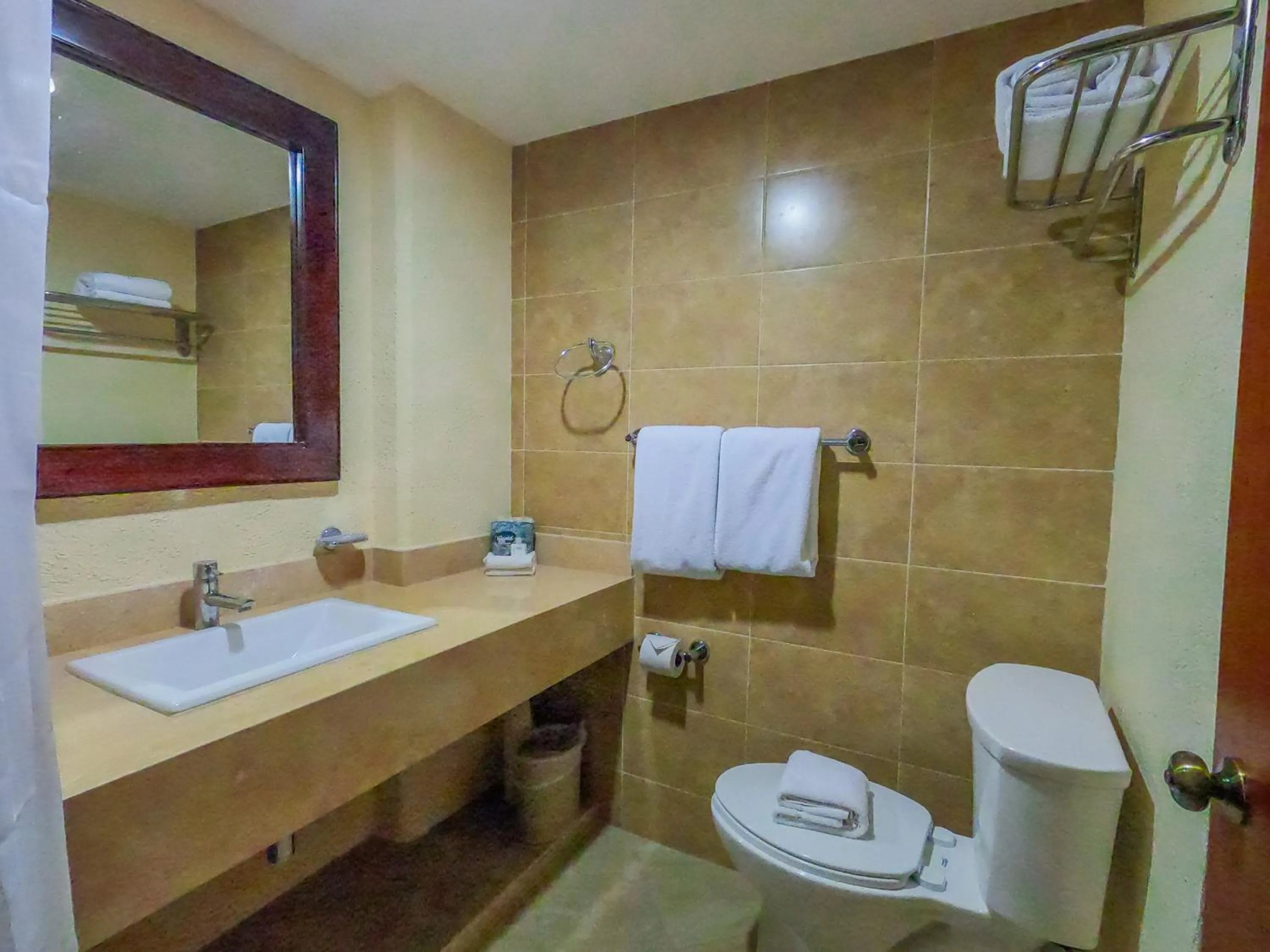 Toilet in Tropicana Hotel Puerto Vallarta