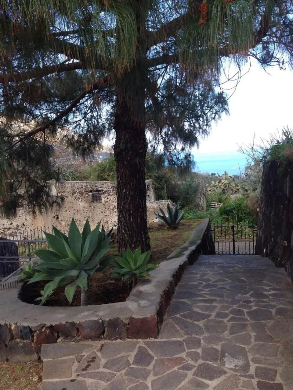 Garden in Casa Elisa Lipari