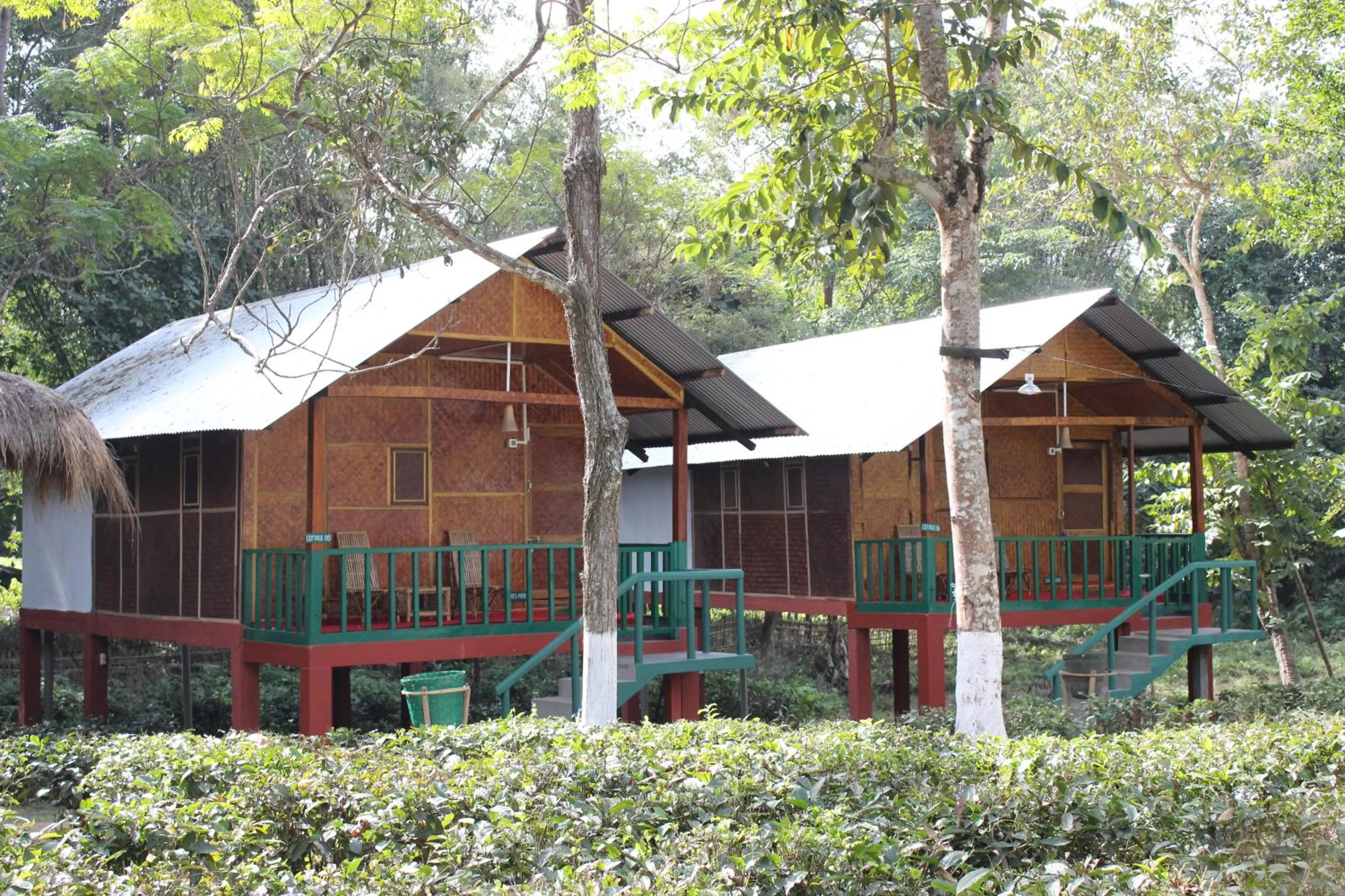 Nature Hunt Eco Camp