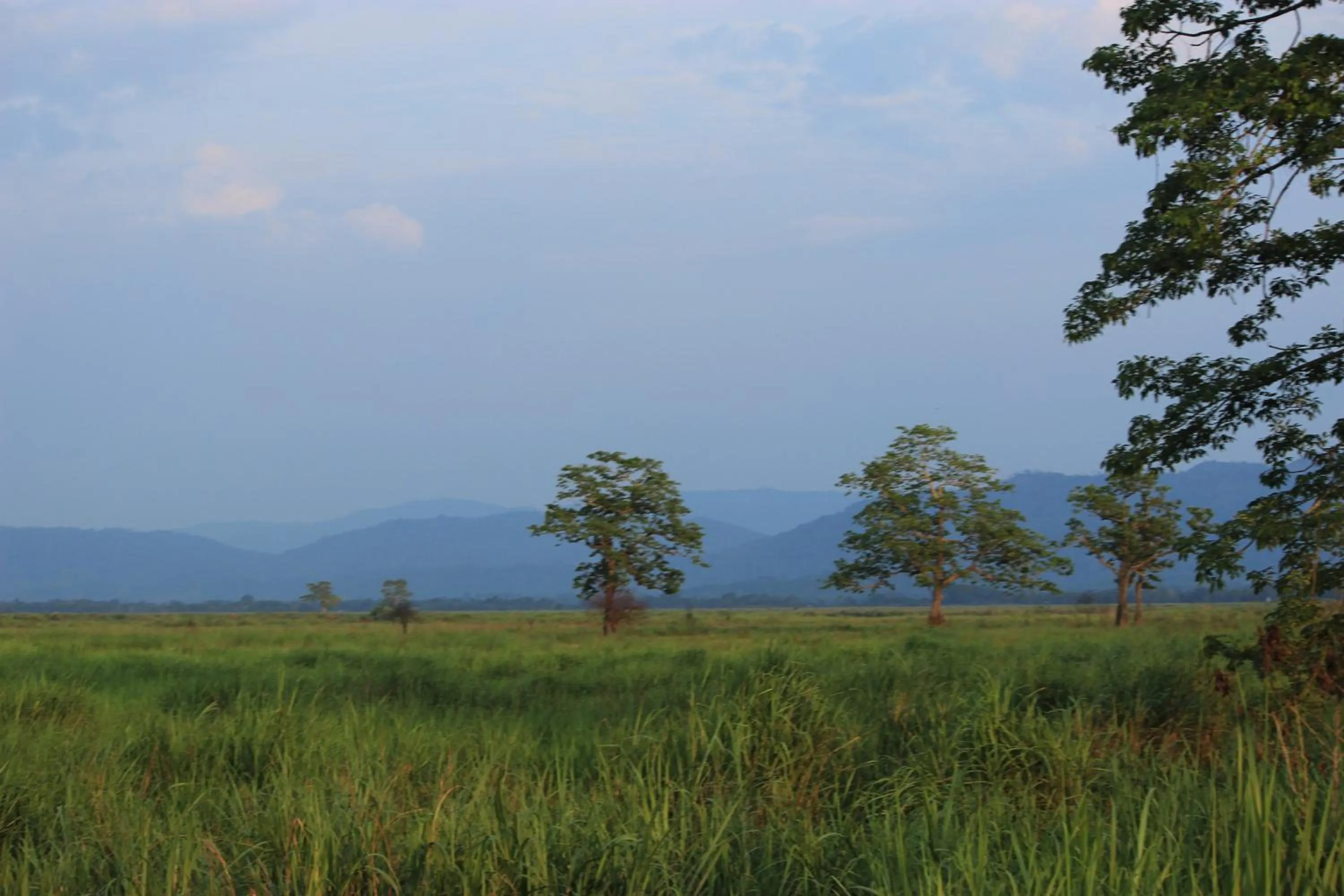 Nature Hunt Eco Camp