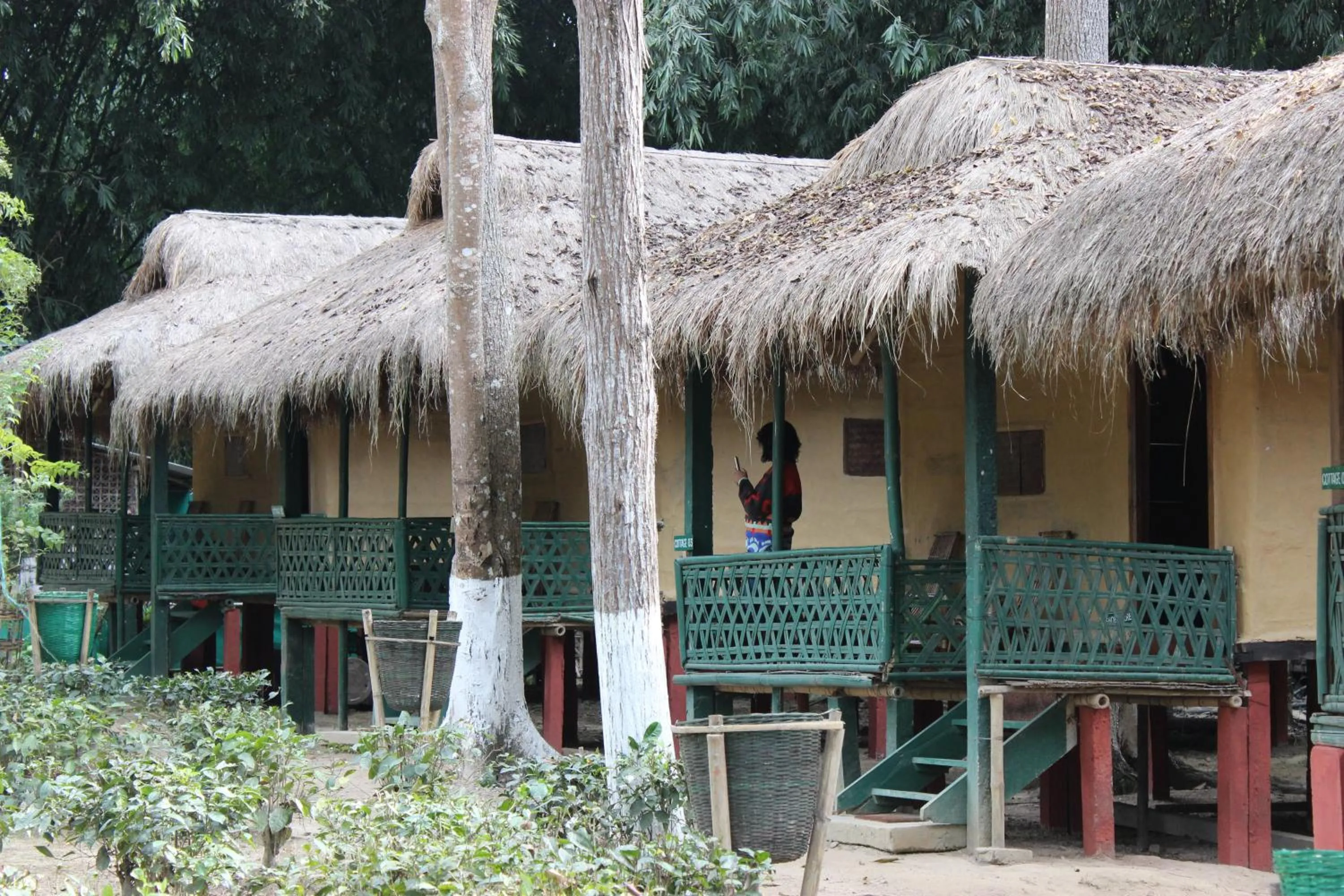 Nature Hunt Eco Camp