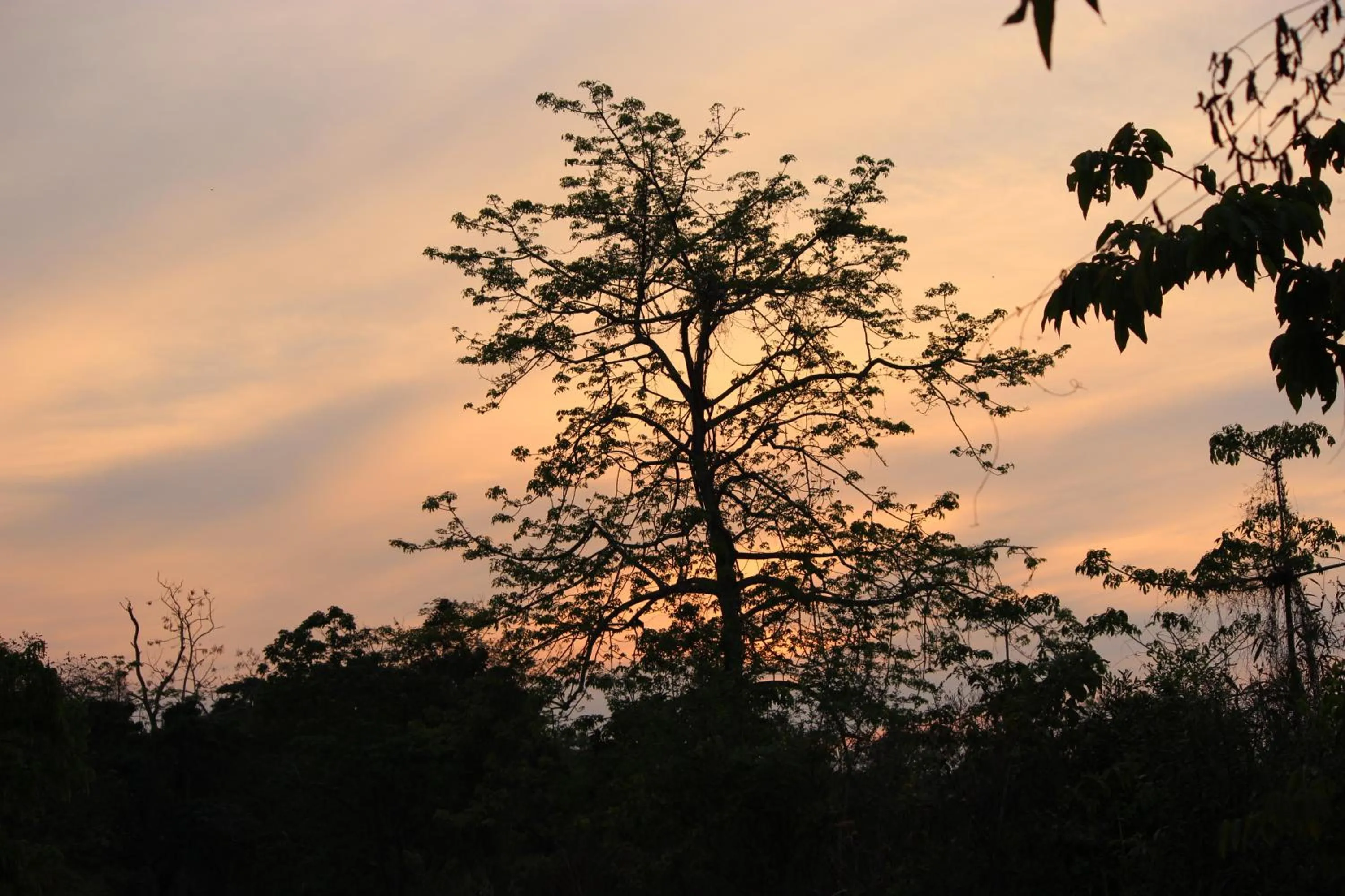Nature Hunt Eco Camp