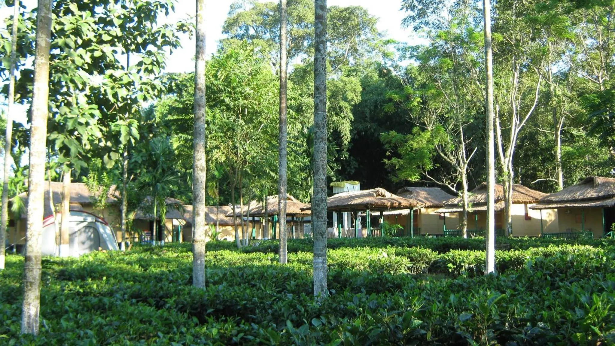 Natural landscape in Nature Hunt Eco Camp