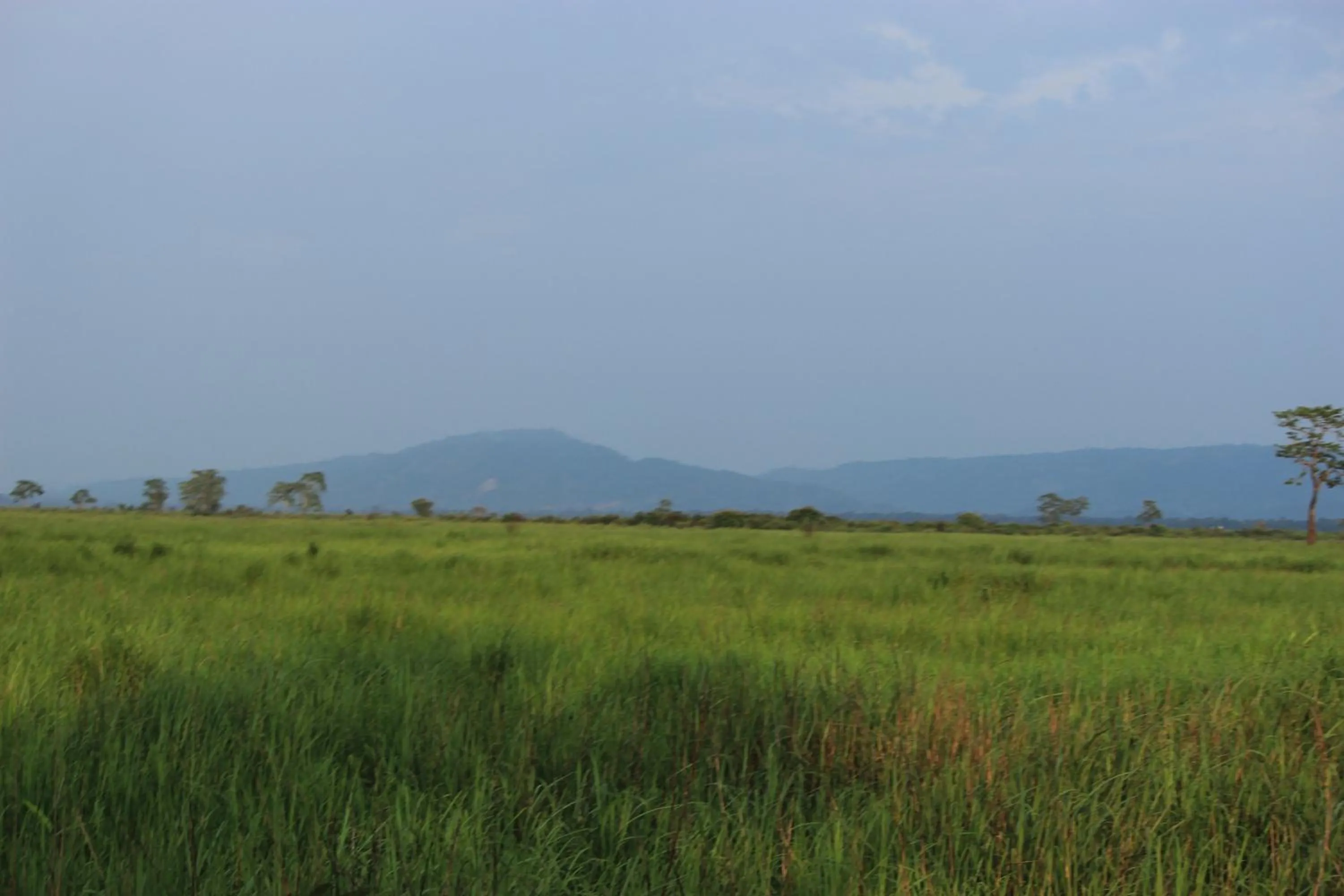 Nature Hunt Eco Camp