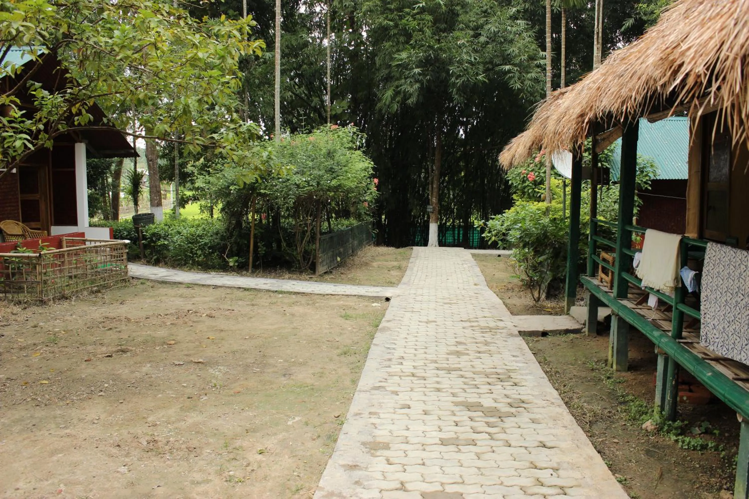 Nature Hunt Eco Camp