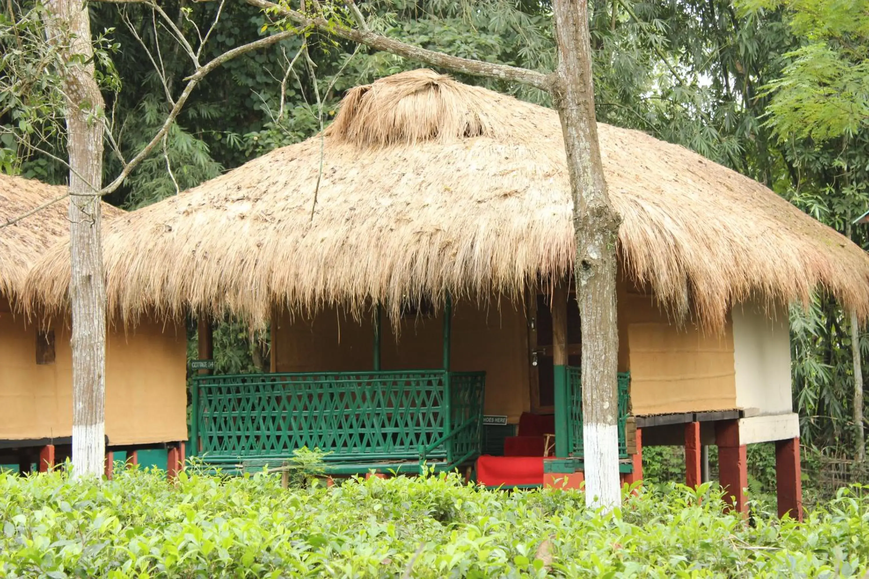 Nature Hunt Eco Camp Nature Hunt Eco Camp
