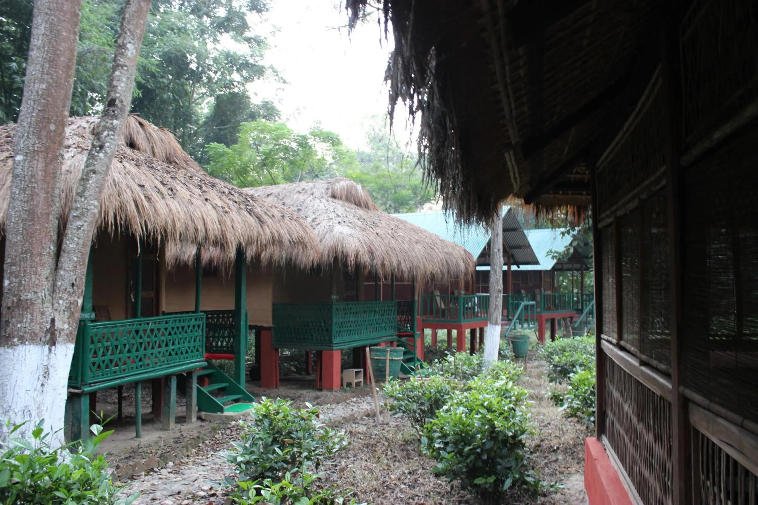 Nature Hunt Eco Camp