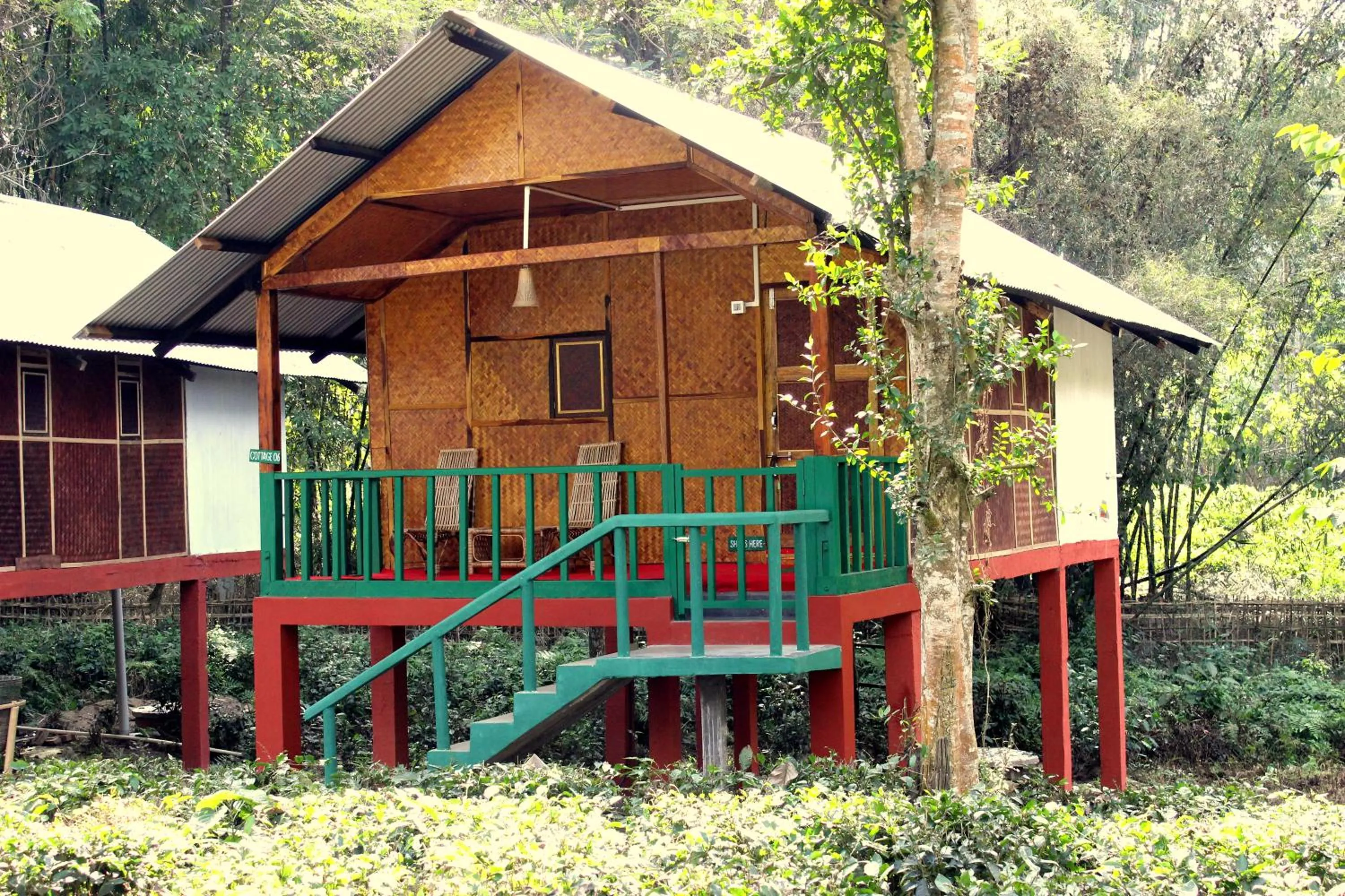 Day in Nature Hunt Eco Camp