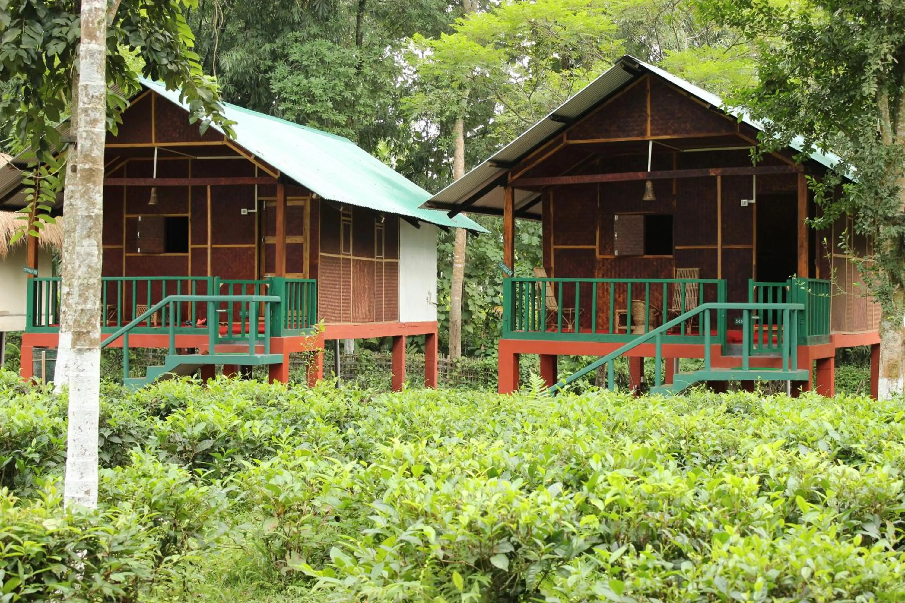 Garden view in Nature Hunt Eco Camp