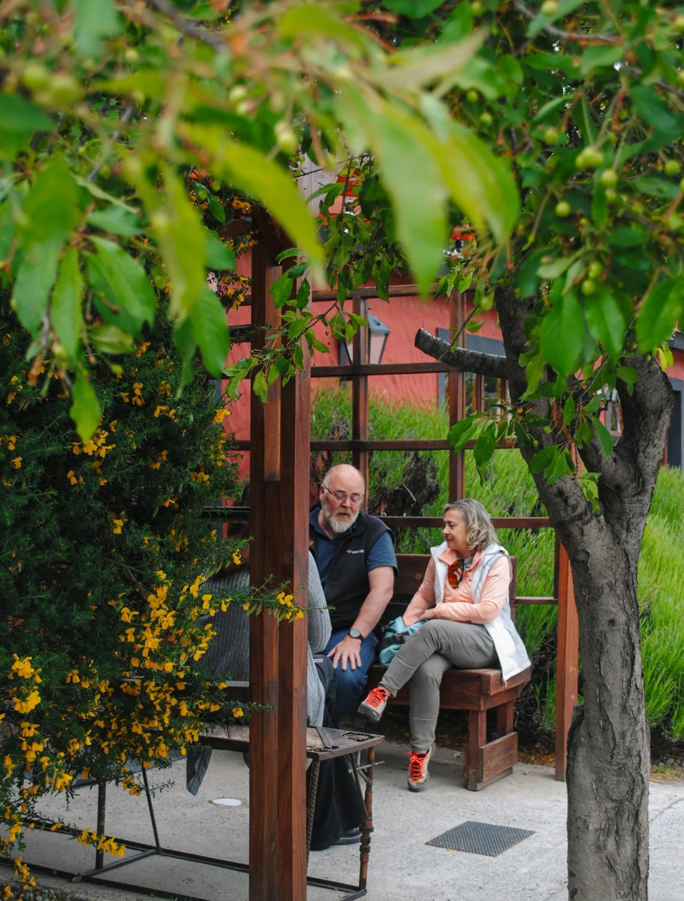 Property building in Hostal Schilling