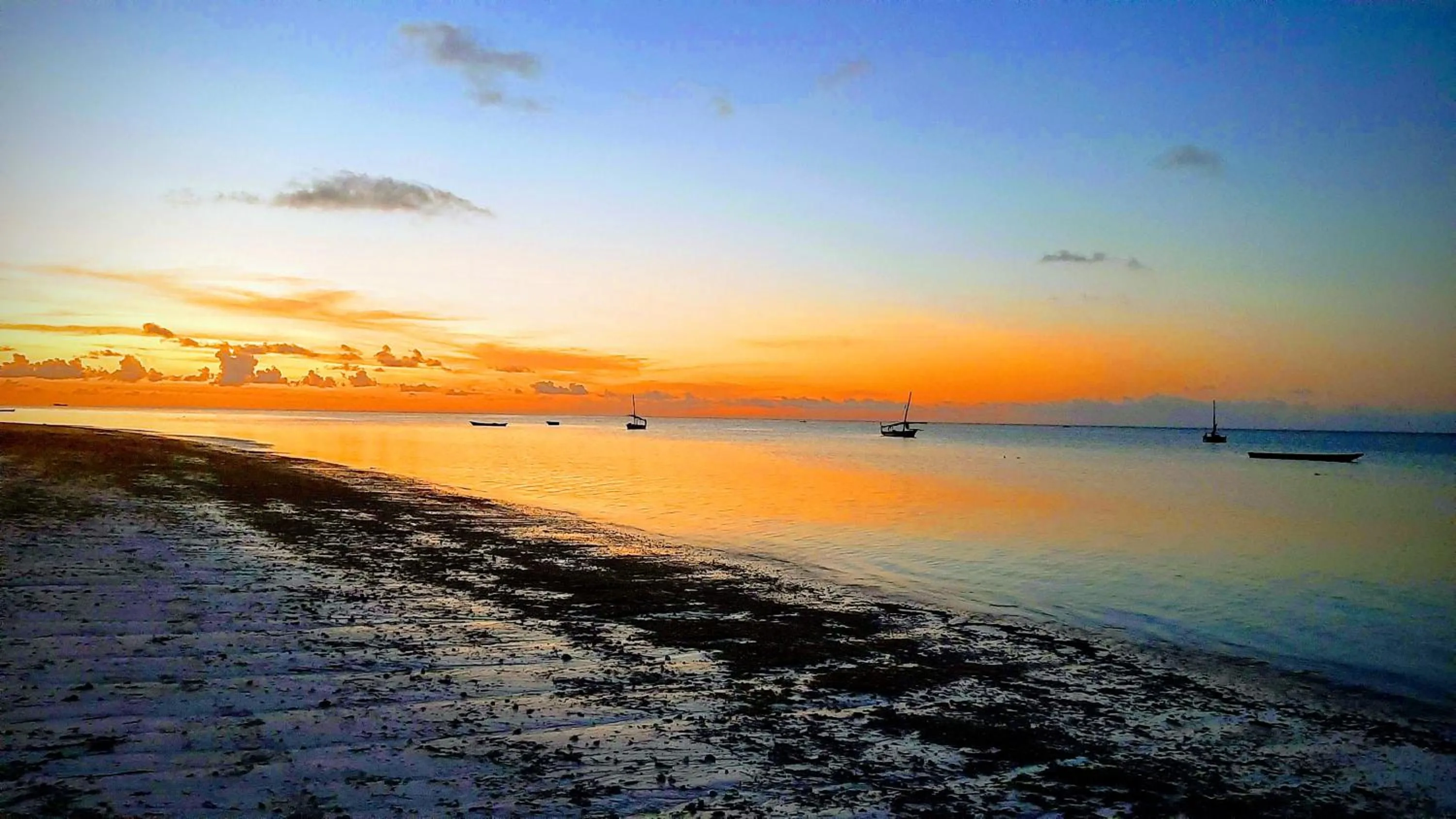 Other in Kilimani House