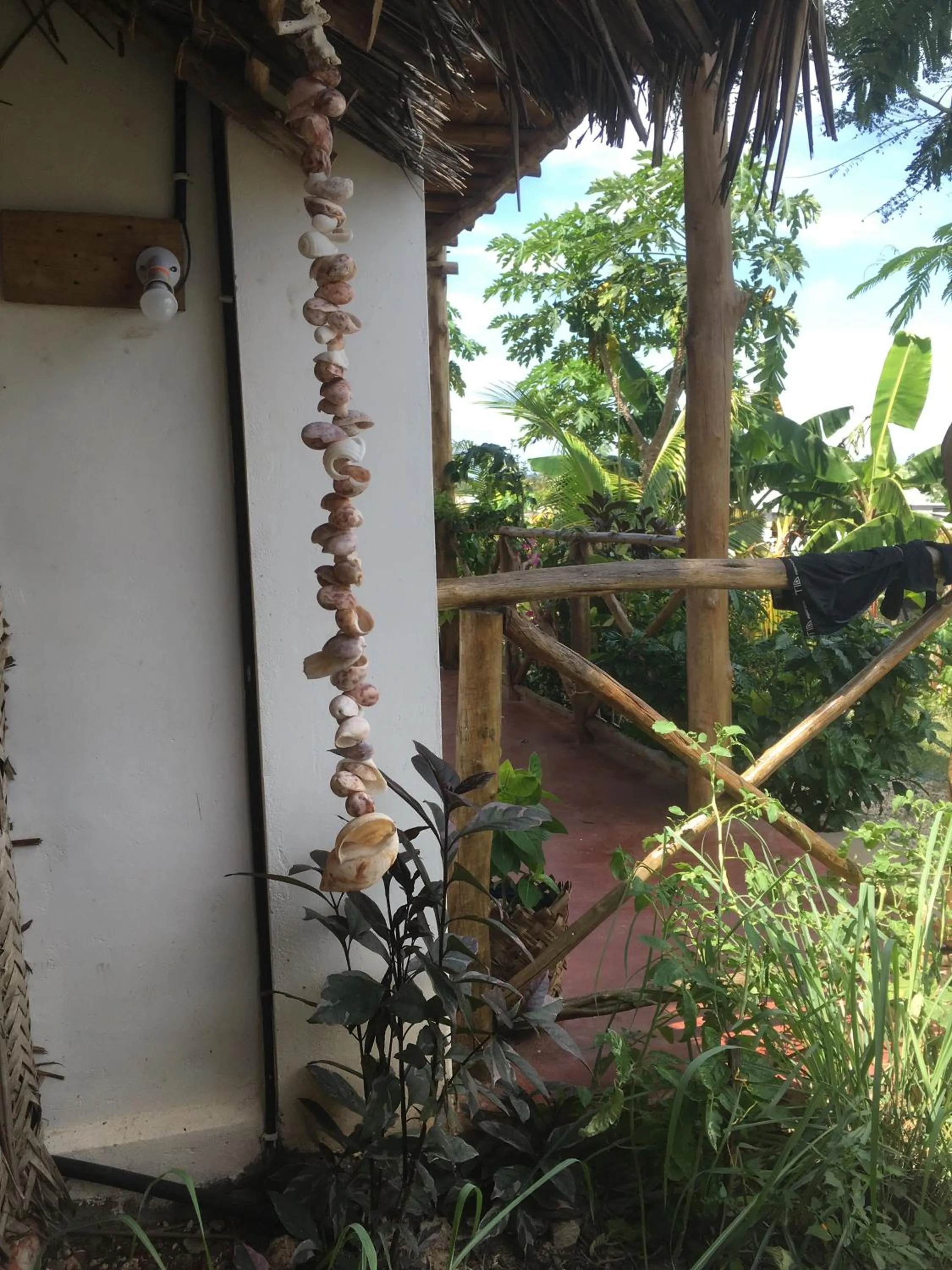 Garden in Kilimani House